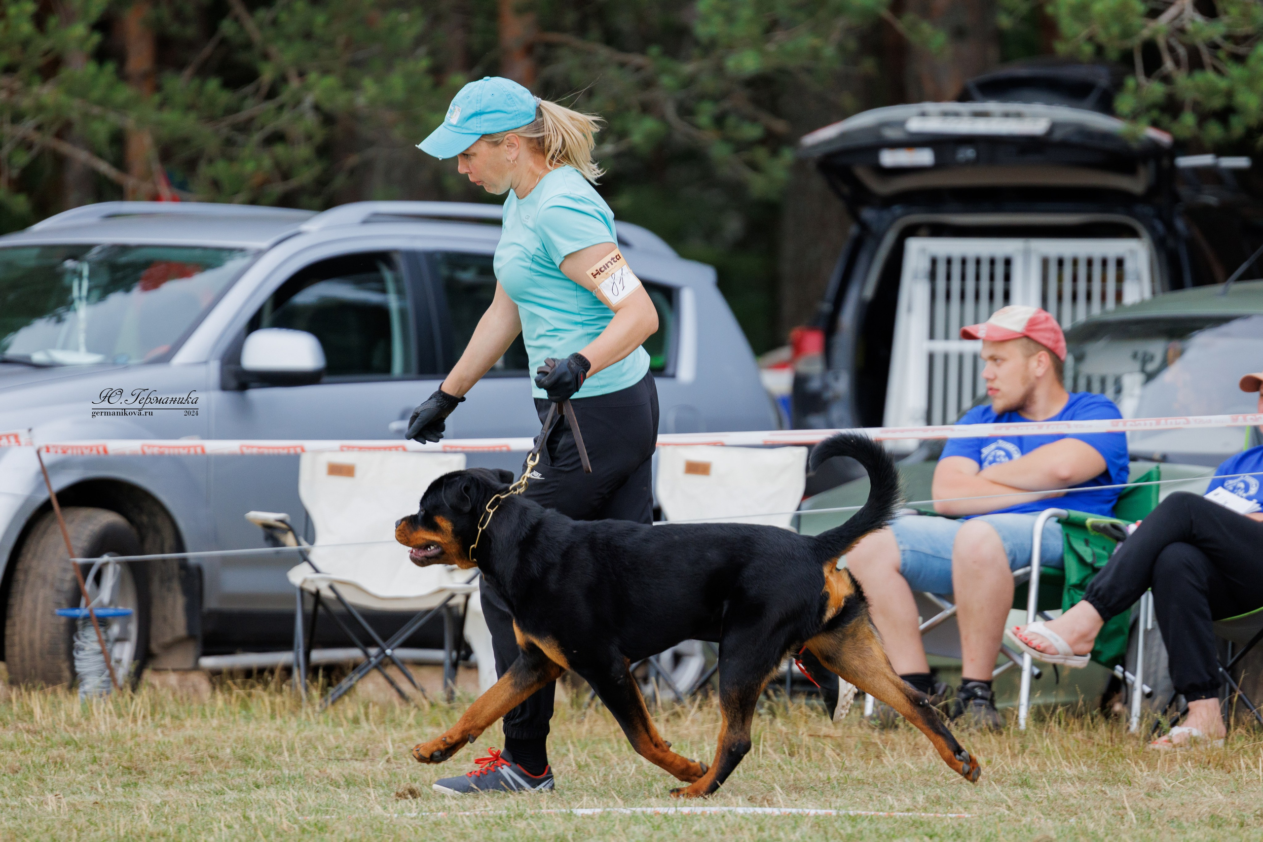 ПК и КЧК ротвейлеры Тверь 6-7.07.2024. Фотограф-анималист Юлия Германика