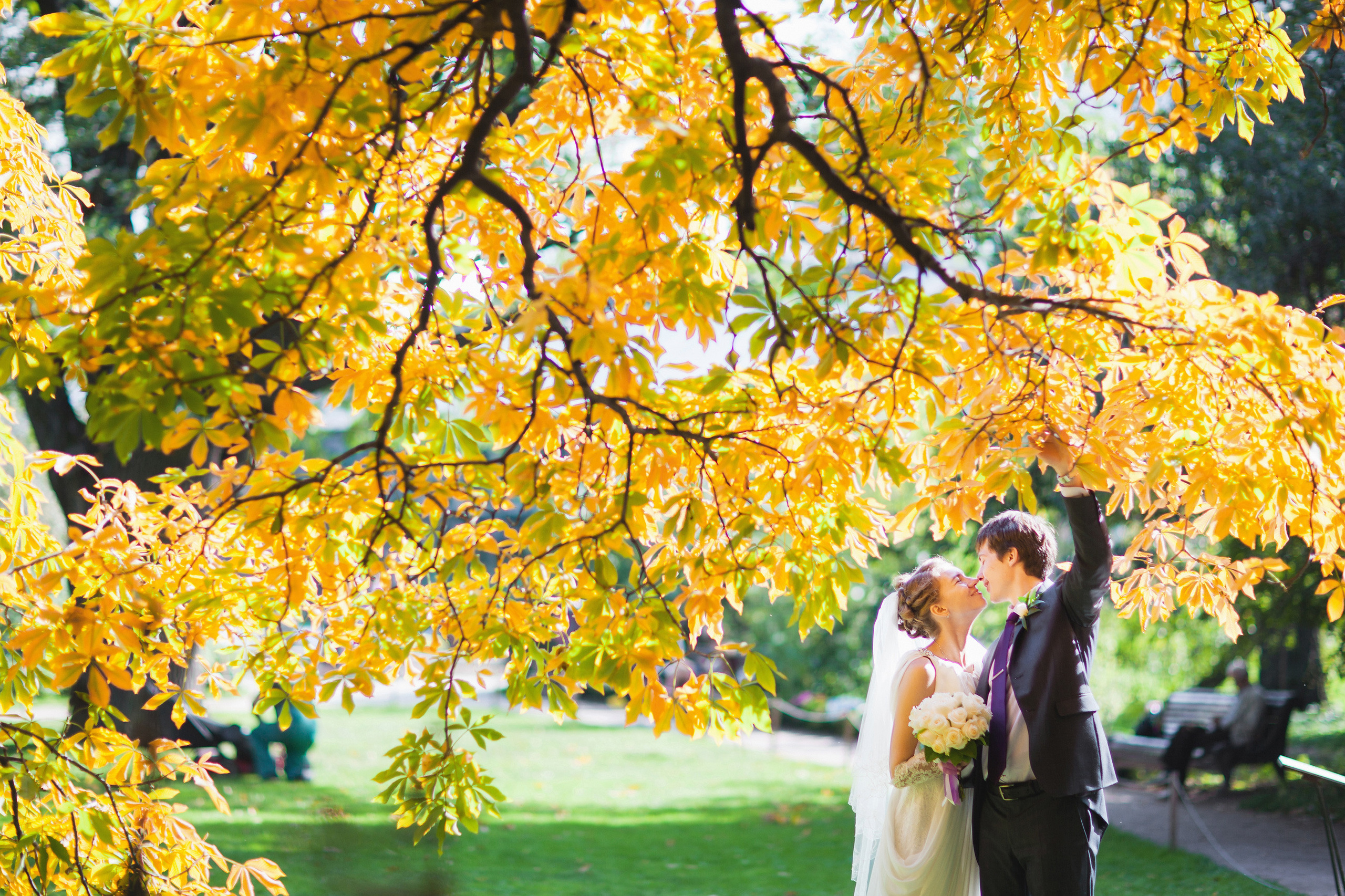 ЧТЕНИЕ. Свадебный фотограф в Москве Никифоров-Гордеев Константин
