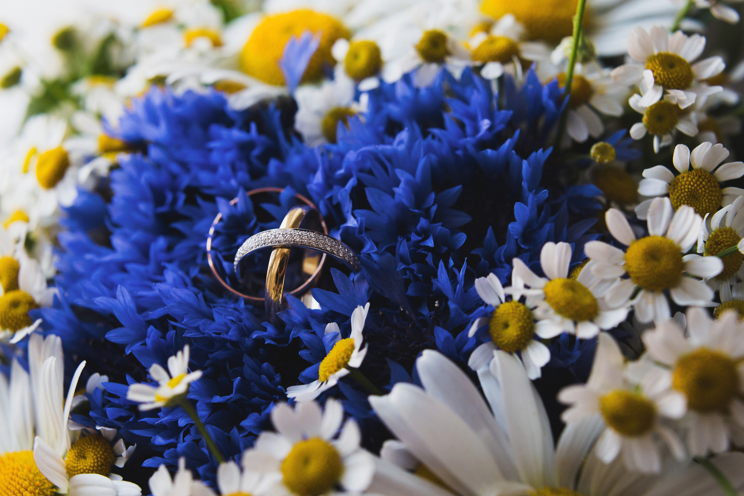 ФОРМУЛА ЛЮБВИ. Свадебный фотограф в Москве Никифоров-Гордеев Константин