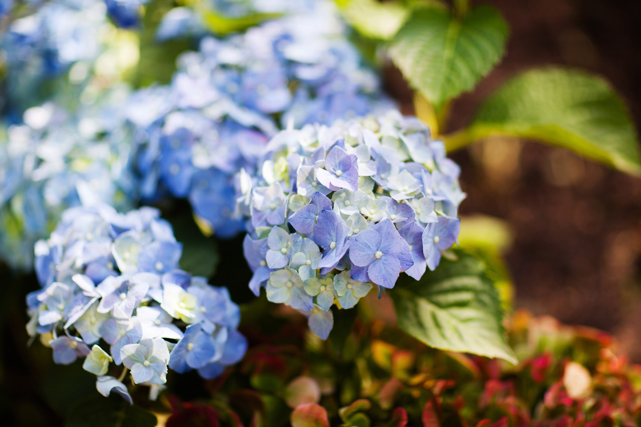 ЧТЕНИЕ. Свадебный фотограф в Москве Никифоров-Гордеев Константин