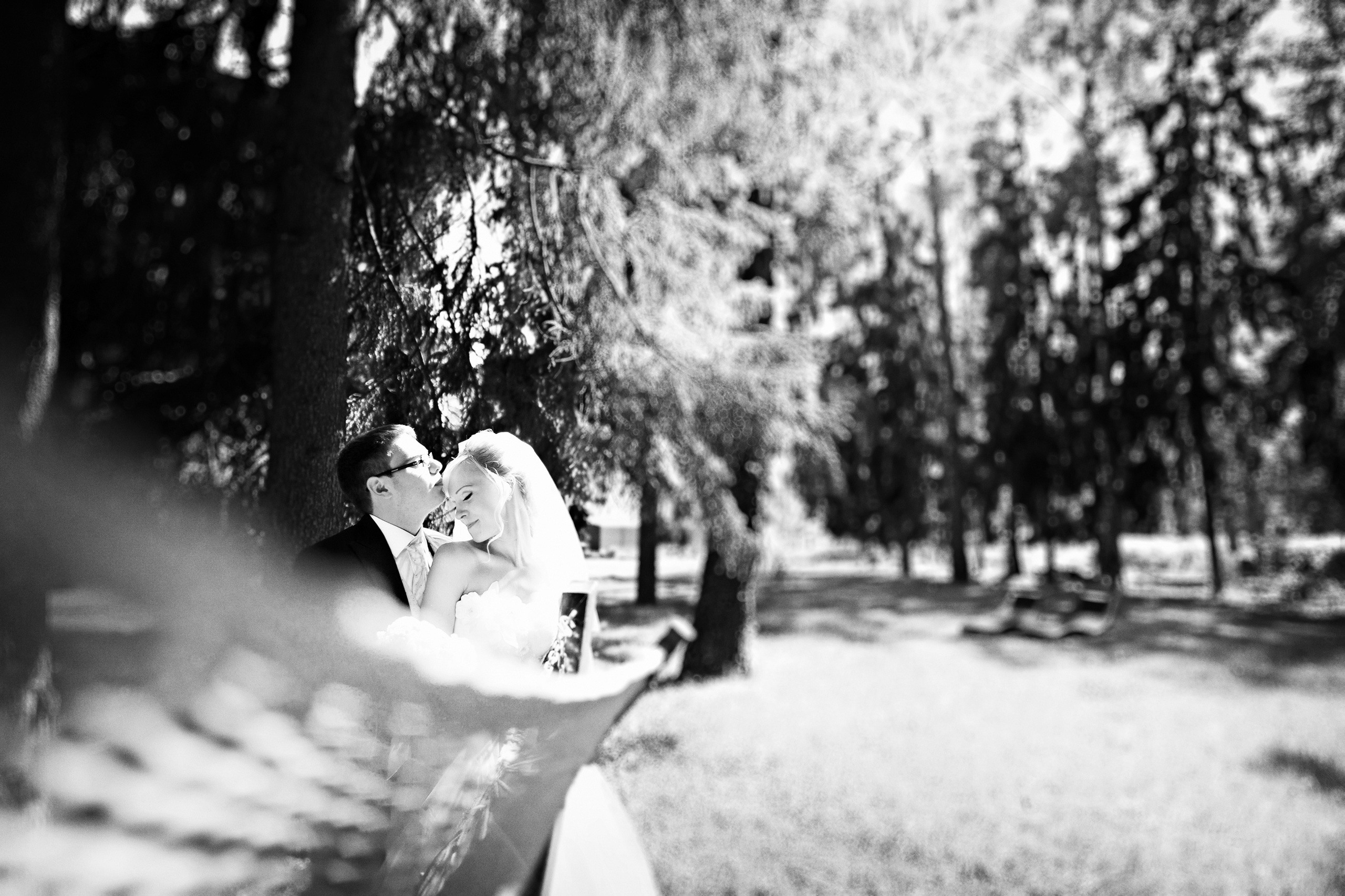 МОНА. Свадебный фотограф в Москве Никифоров-Гордеев Константин