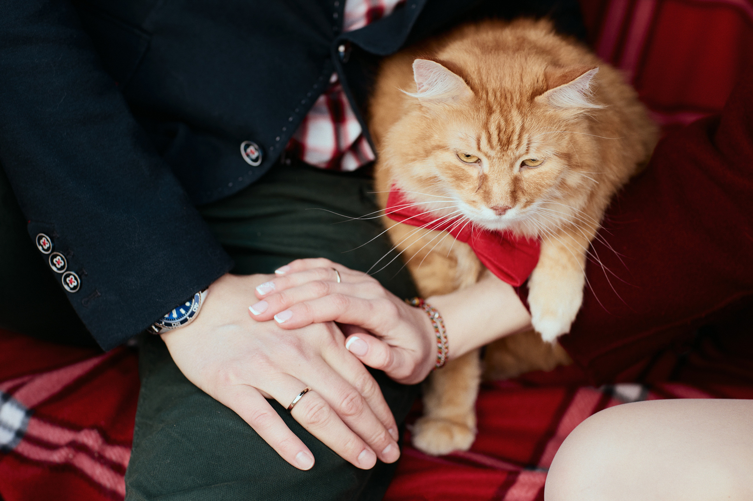 АПРЕЛЬ. Свадебный фотограф в Москве Никифоров-Гордеев Константин