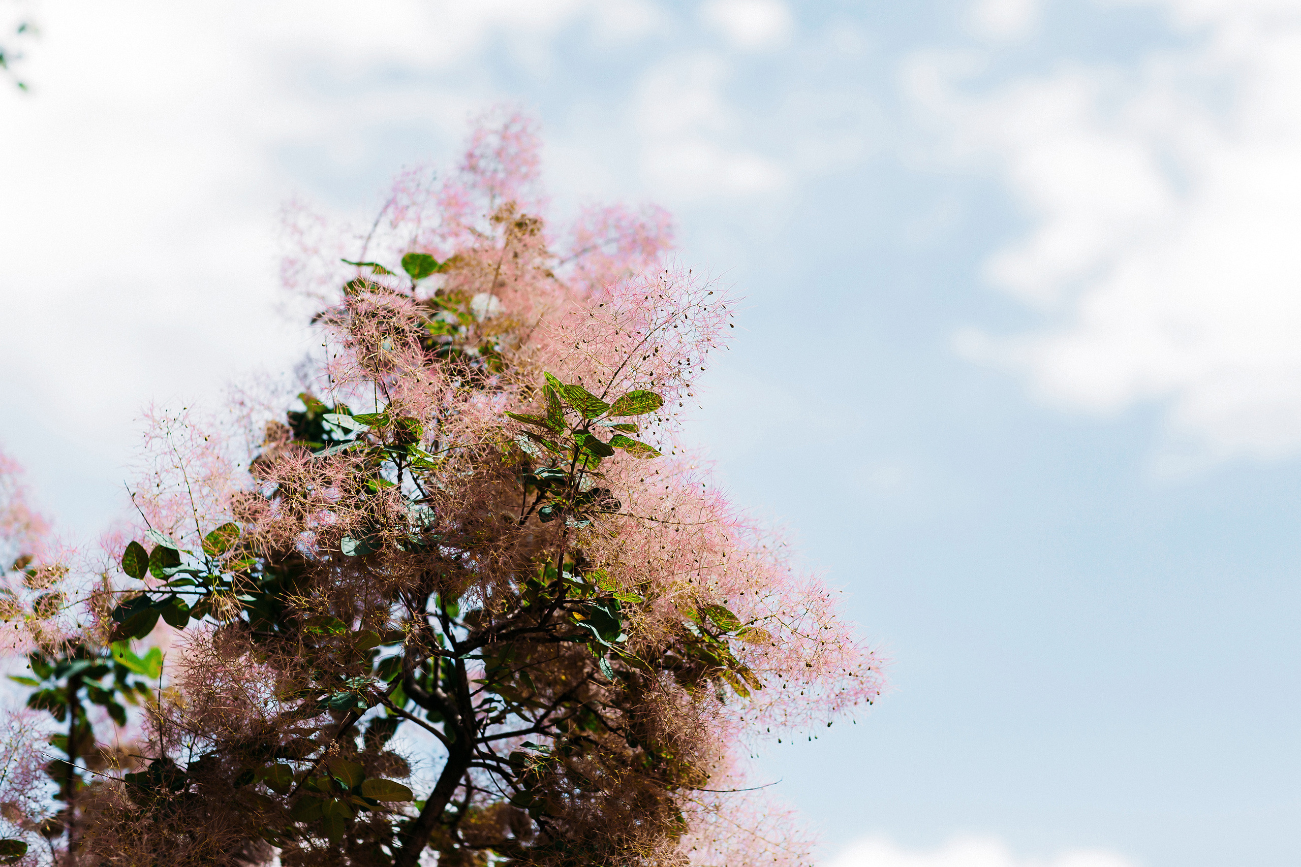 НАСТРОЕНИЕ ВВЕРХ. Свадебный фотограф в Москве Никифоров-Гордеев Константин