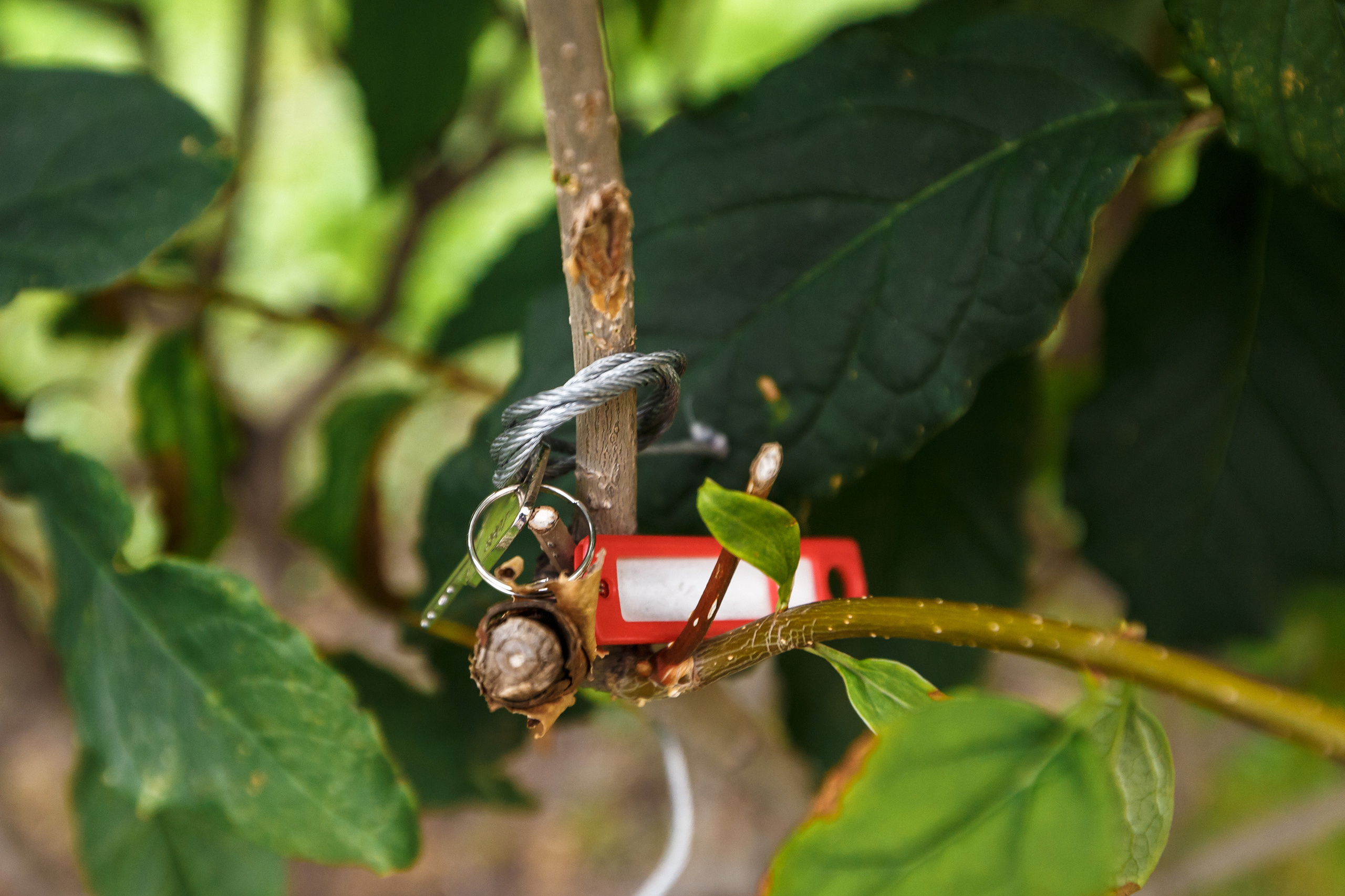 КВЕСТ. Свадебный фотограф в Москве Никифоров-Гордеев Константин