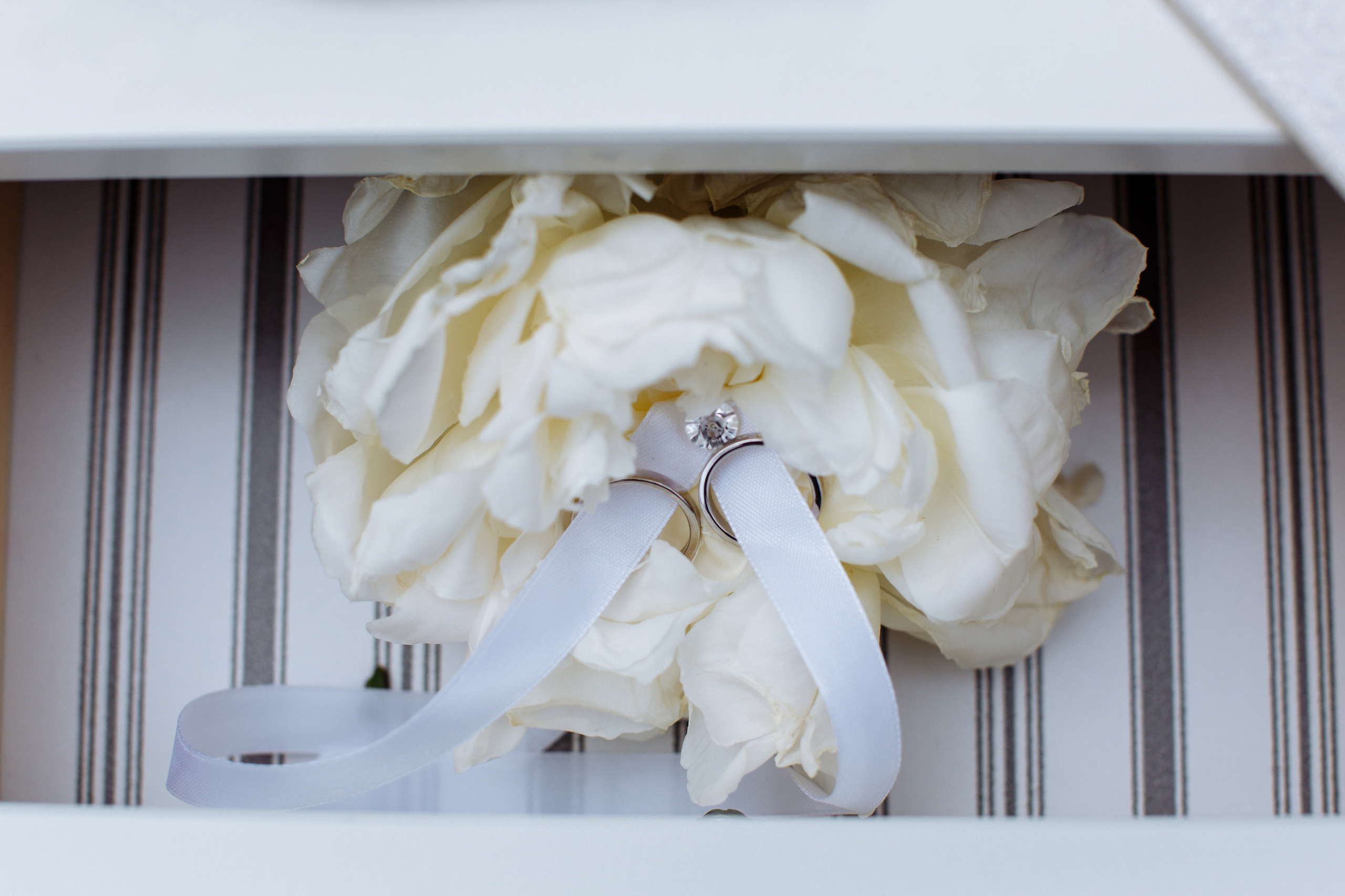 ЦВЕТ. Свадебный фотограф в Москве Никифоров-Гордеев Константин