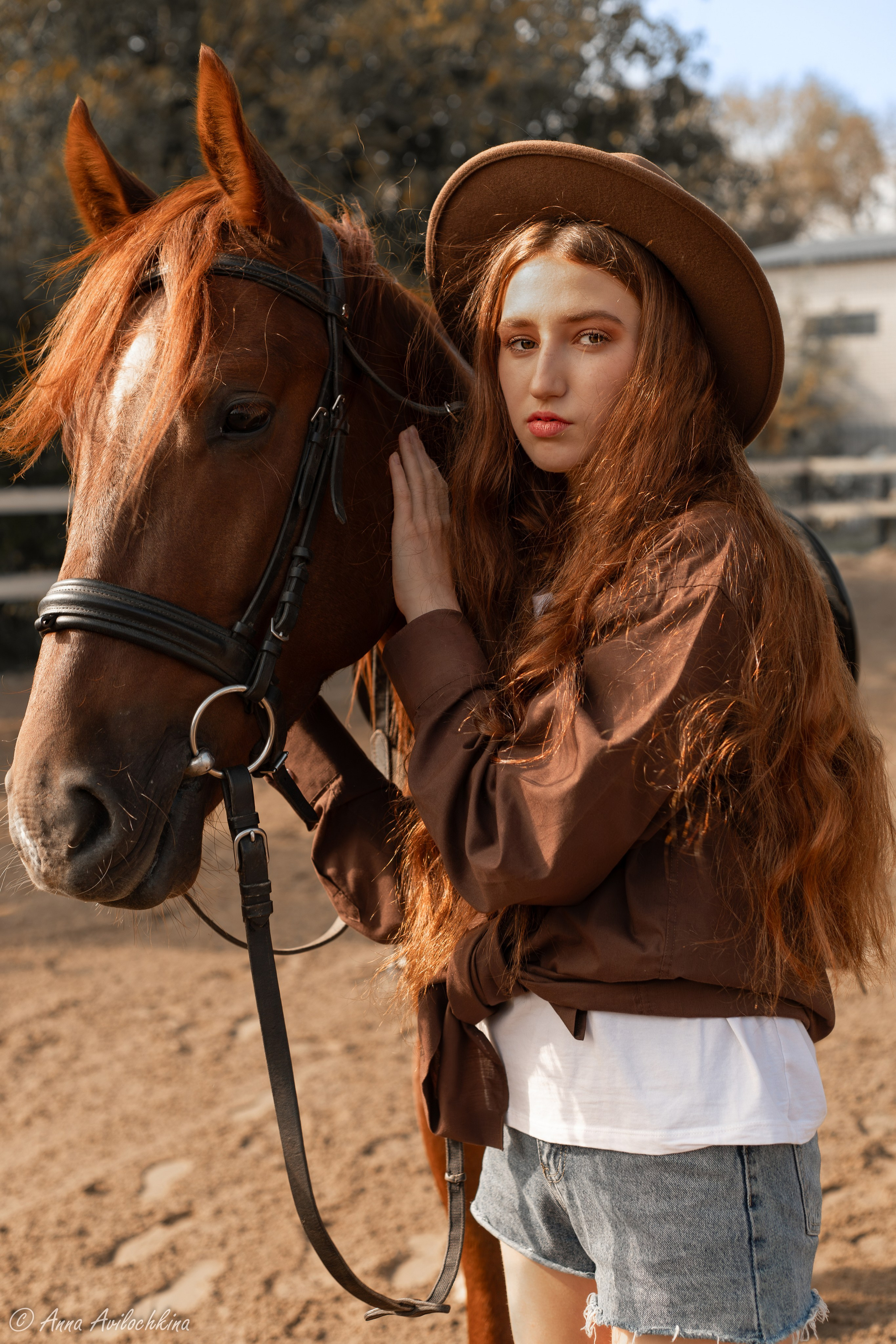 Альбомы стилизованных фотосессий и съёмки с животными. Семейный и свадебный фотограф в Москве и Домодедово Анна Авилочкина