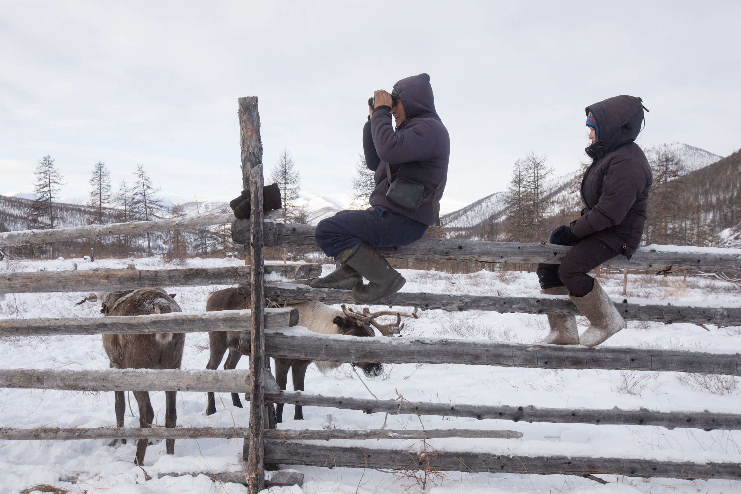 Не забудь накормить озеро. Natalya Madilyan