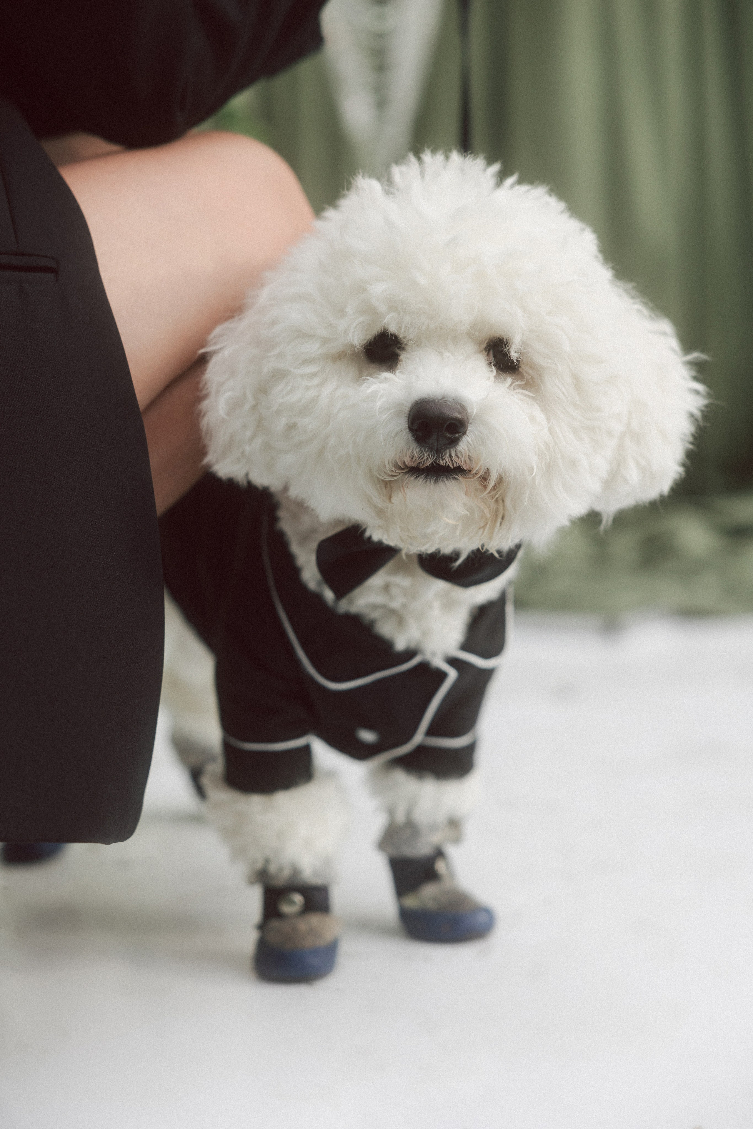 Дима и Настя. Свадебный фотограф в Рязани и Москве Евгения Жмурова