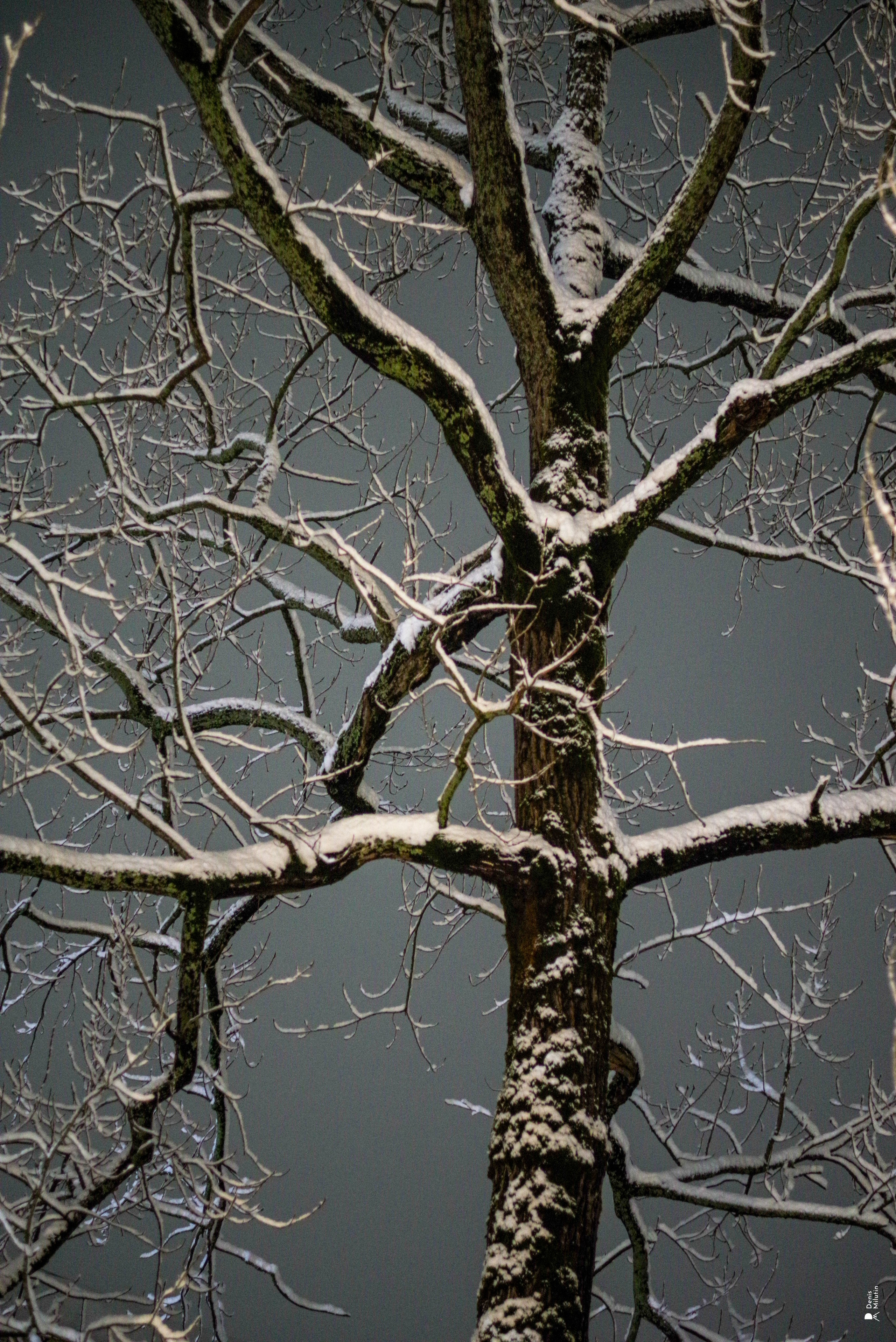 Ночь в Менджи. Портретный фотограф Денис Милютин