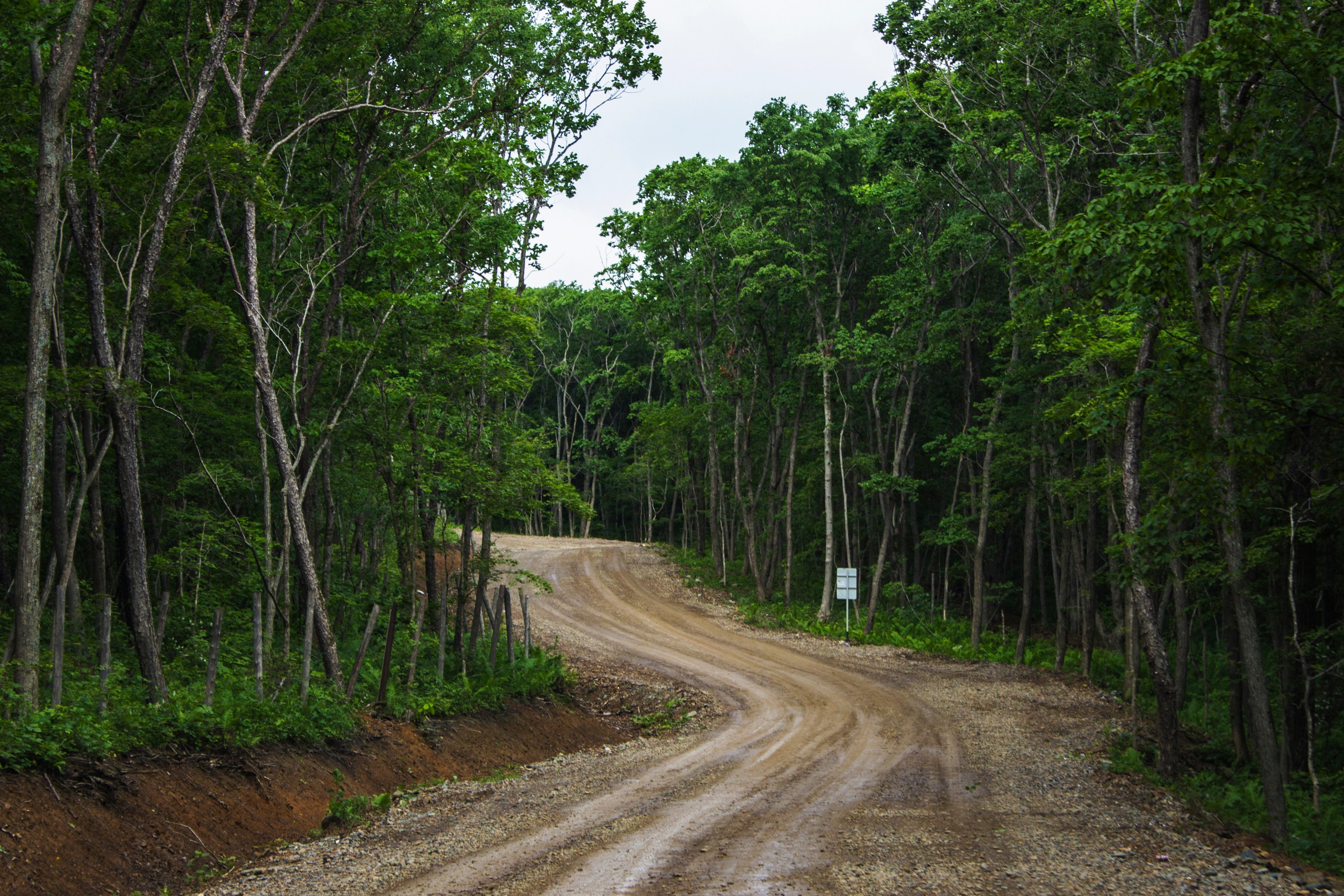 Природа. Команда фотографов Кристины Ивановой