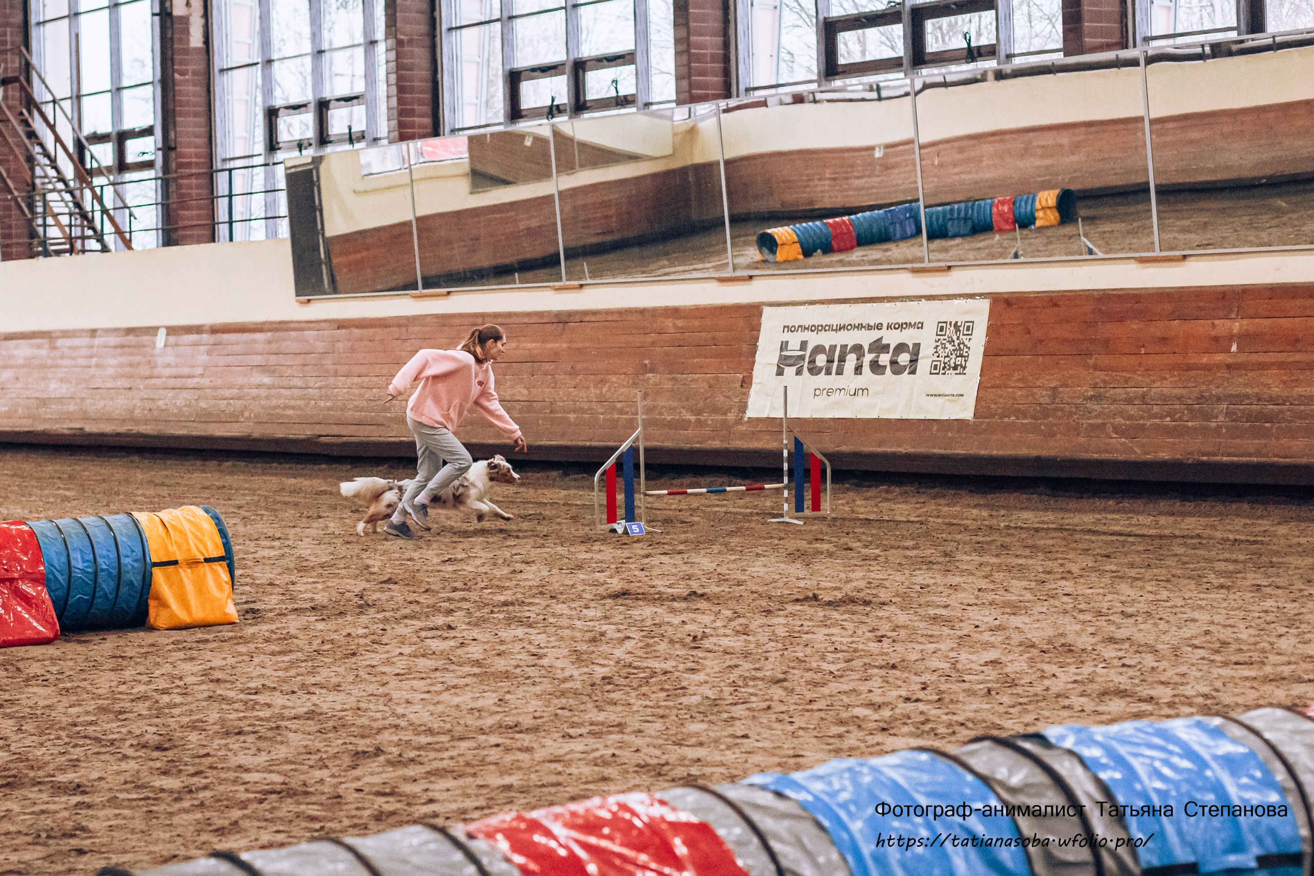 Соревнования по Аджилити 25.02.2024. Фотограф-анималист Татьяна Степанова