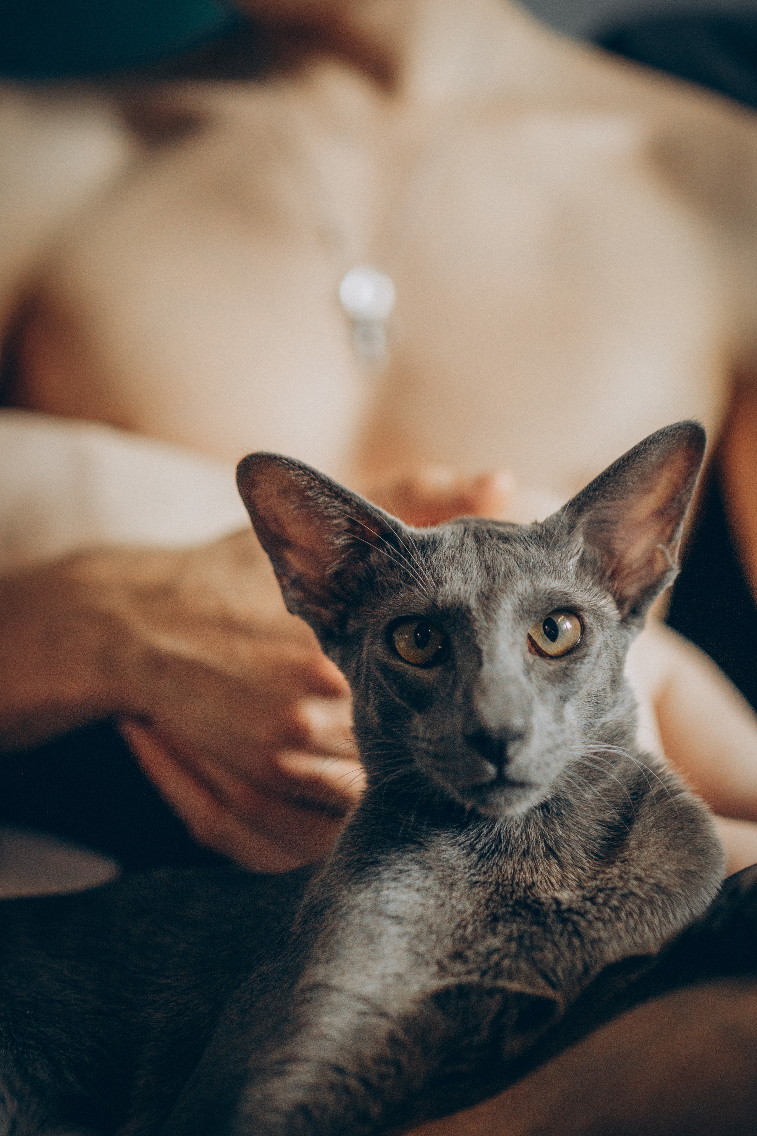 Крошка Амелия. Семейный фотограф и фотограф на роды в Ростове-на-Дону Мухина Виктория