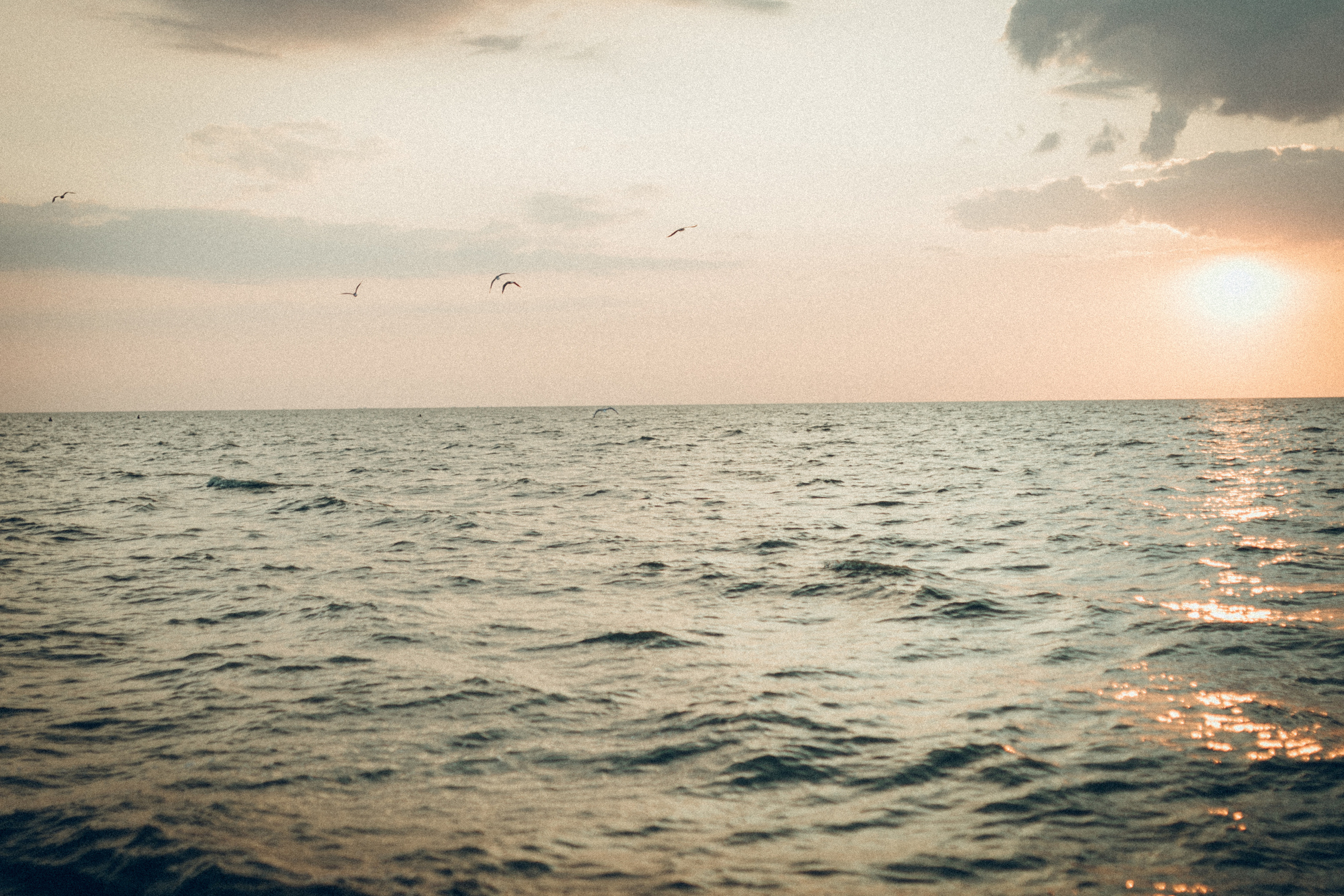 Рита&Коля. Семейный фотограф и фотограф на роды в Ростове-на-Дону Мухина Виктория