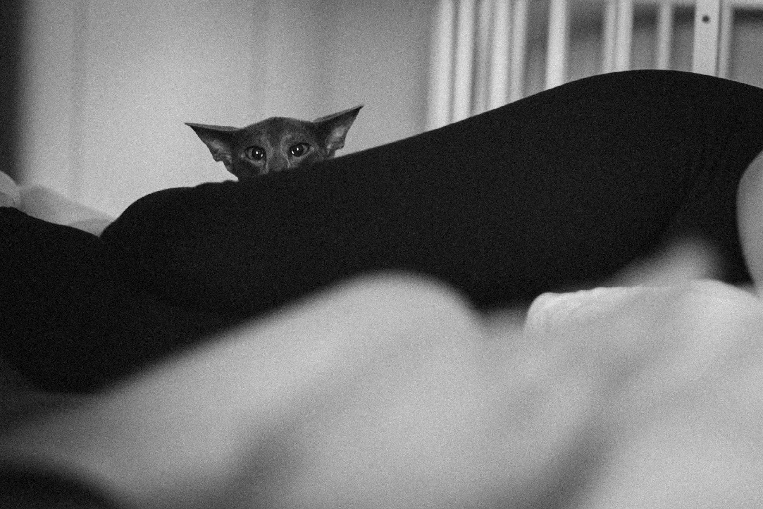 Крошка Амелия. Семейный фотограф и фотограф на роды в Ростове-на-Дону Мухина Виктория