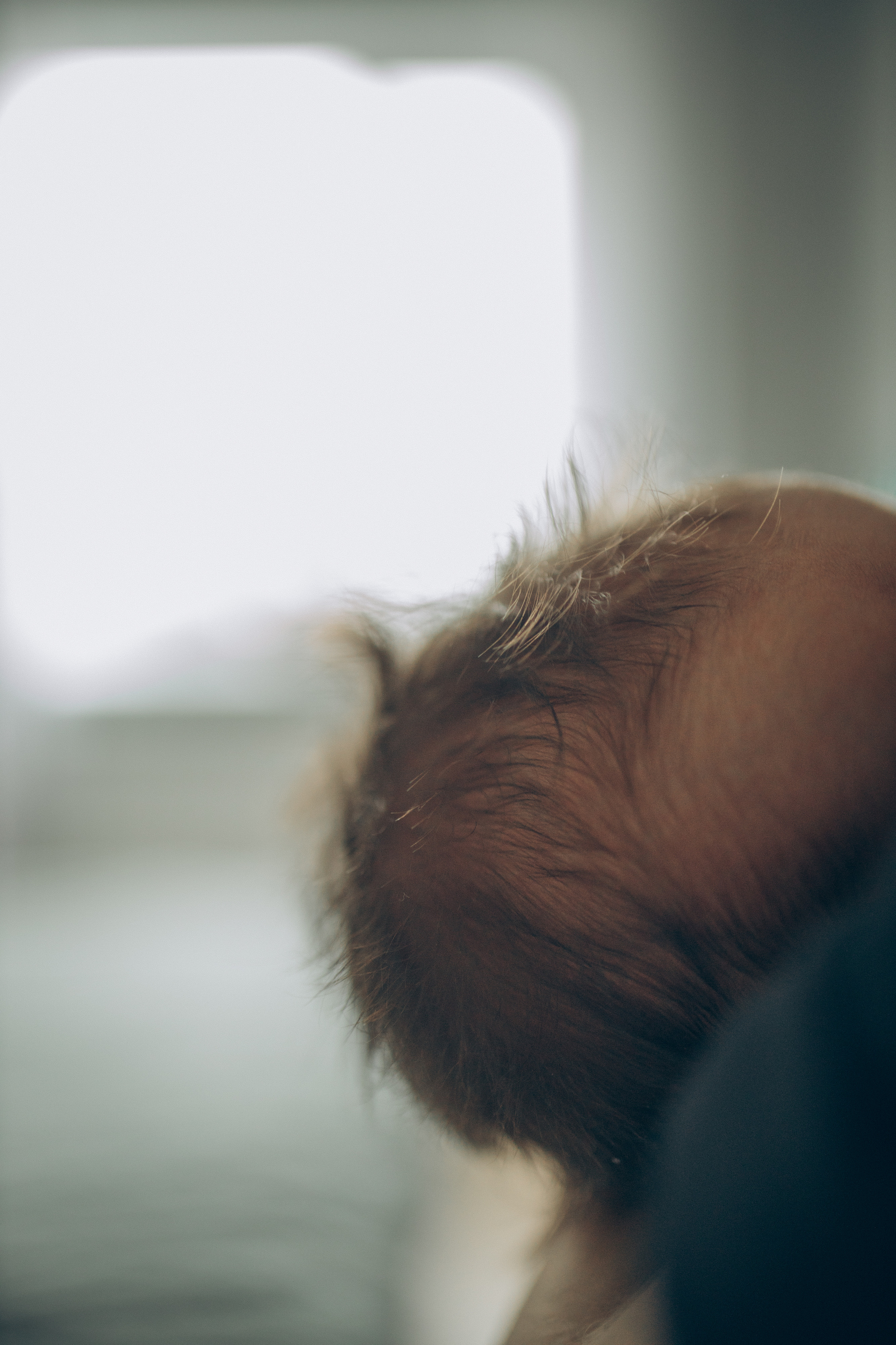 Саша и семья. Семейный фотограф и фотограф на роды в Ростове-на-Дону Мухина Виктория