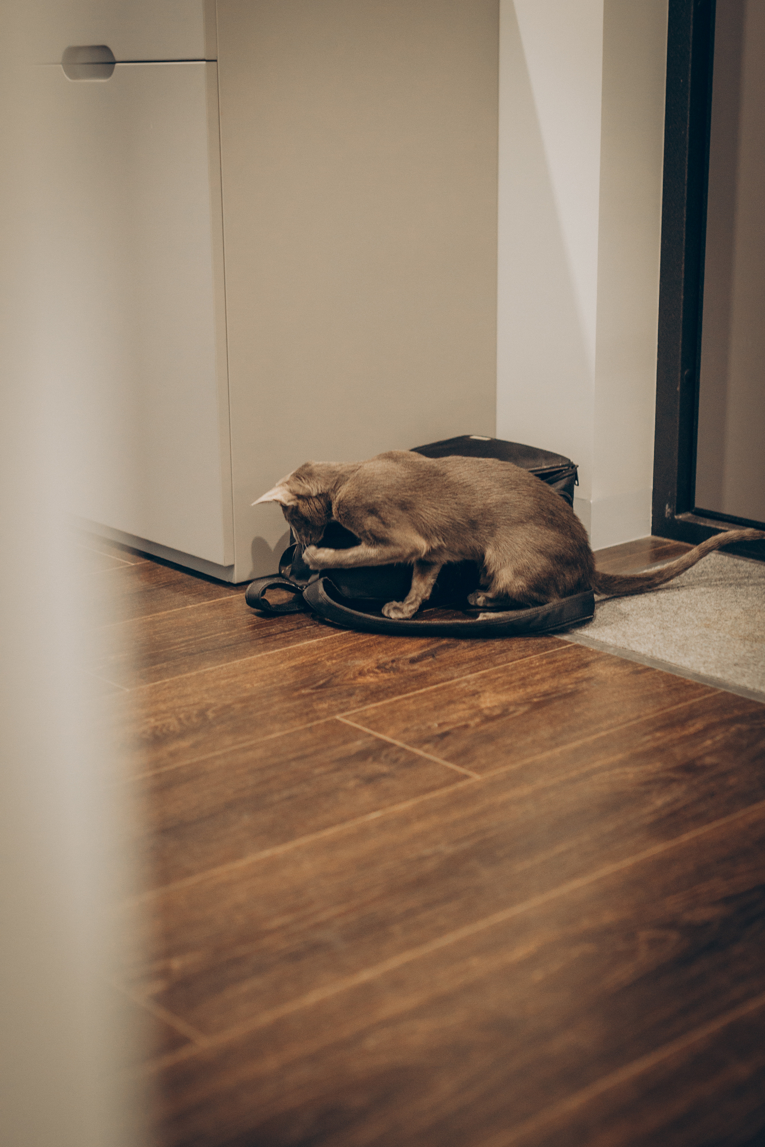 Крошка Амелия. Семейный фотограф и фотограф на роды в Ростове-на-Дону Мухина Виктория