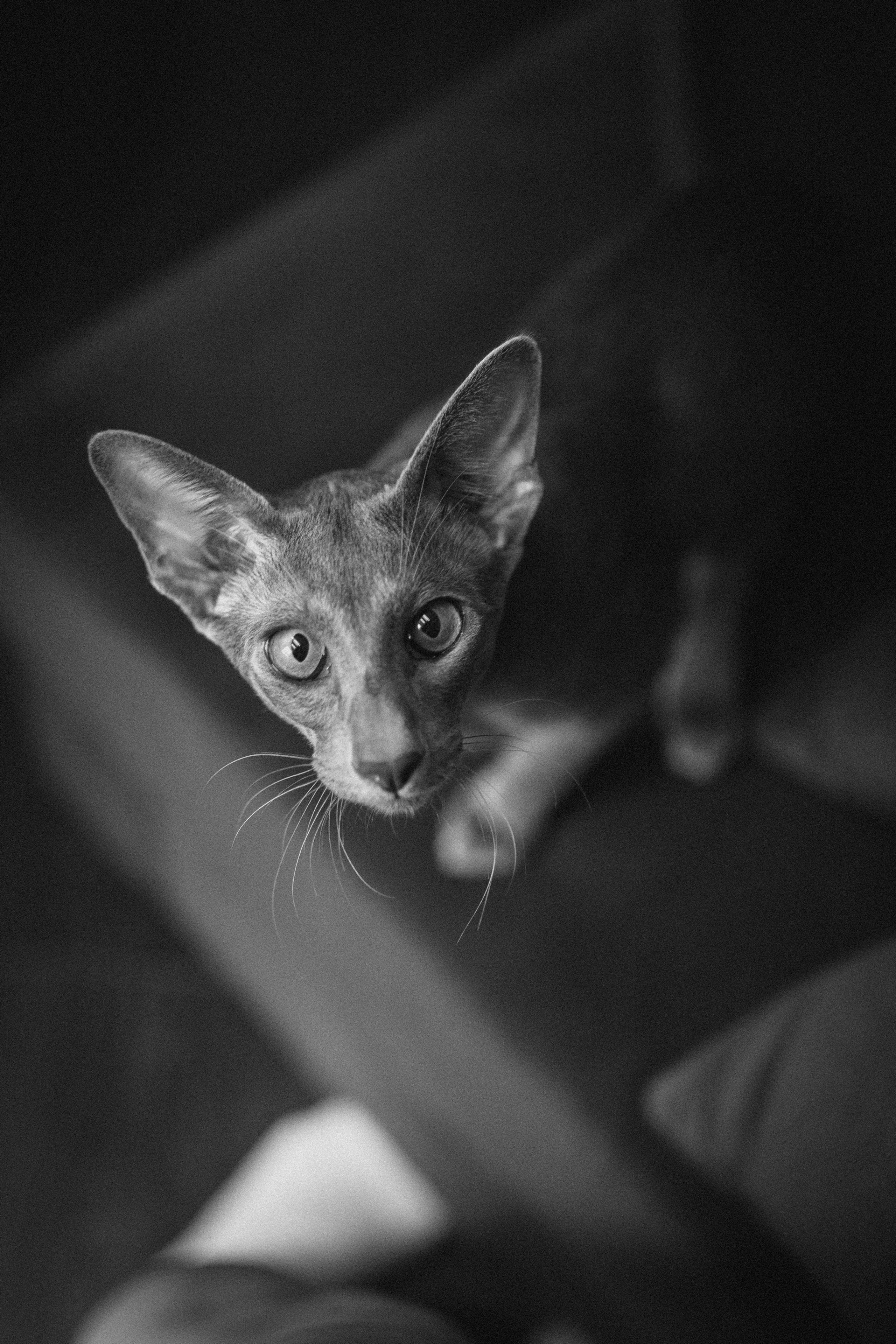 Крошка Амелия. Семейный фотограф и фотограф на роды в Ростове-на-Дону Мухина Виктория