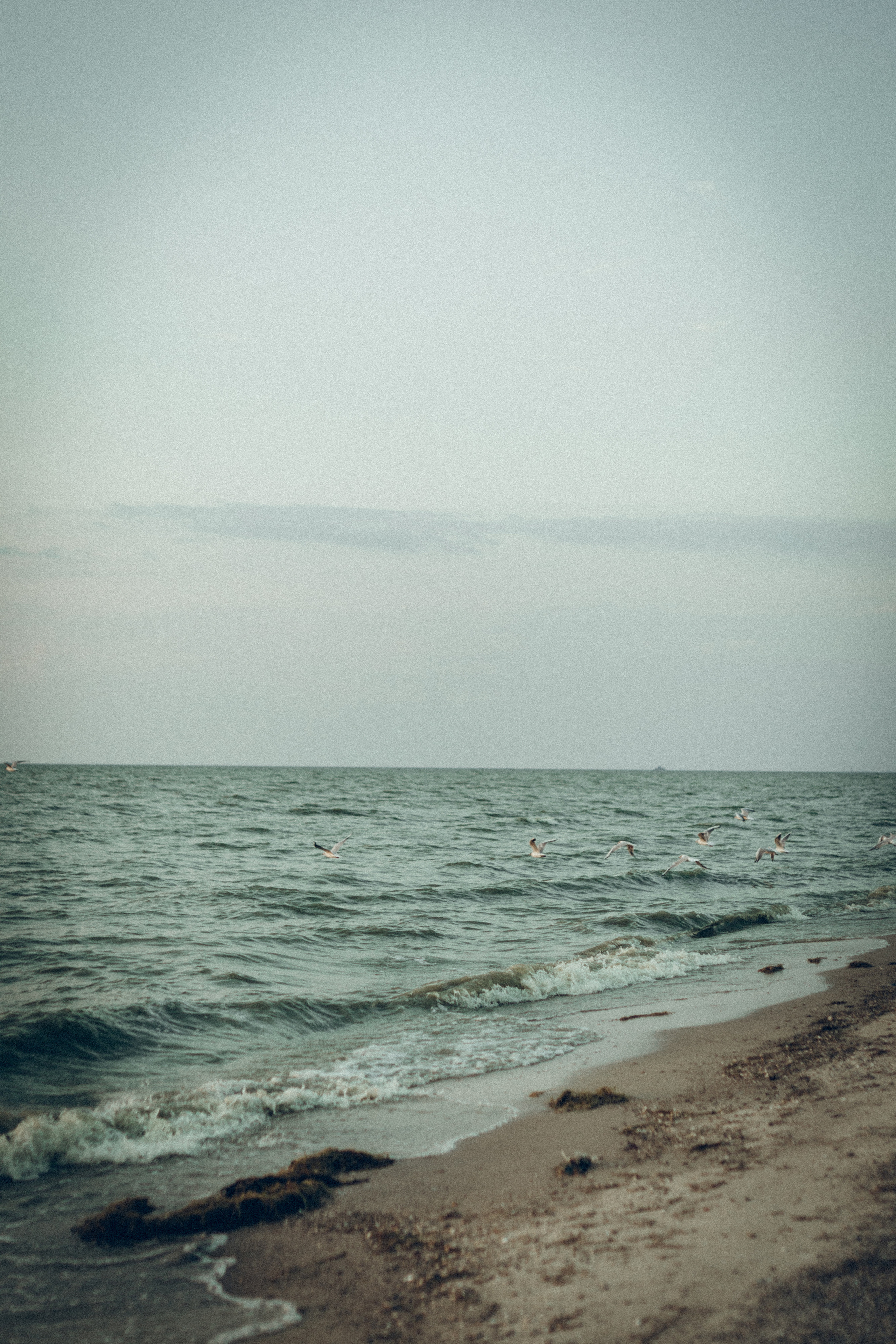 Рита&Коля. Семейный фотограф и фотограф на роды в Ростове-на-Дону Мухина Виктория