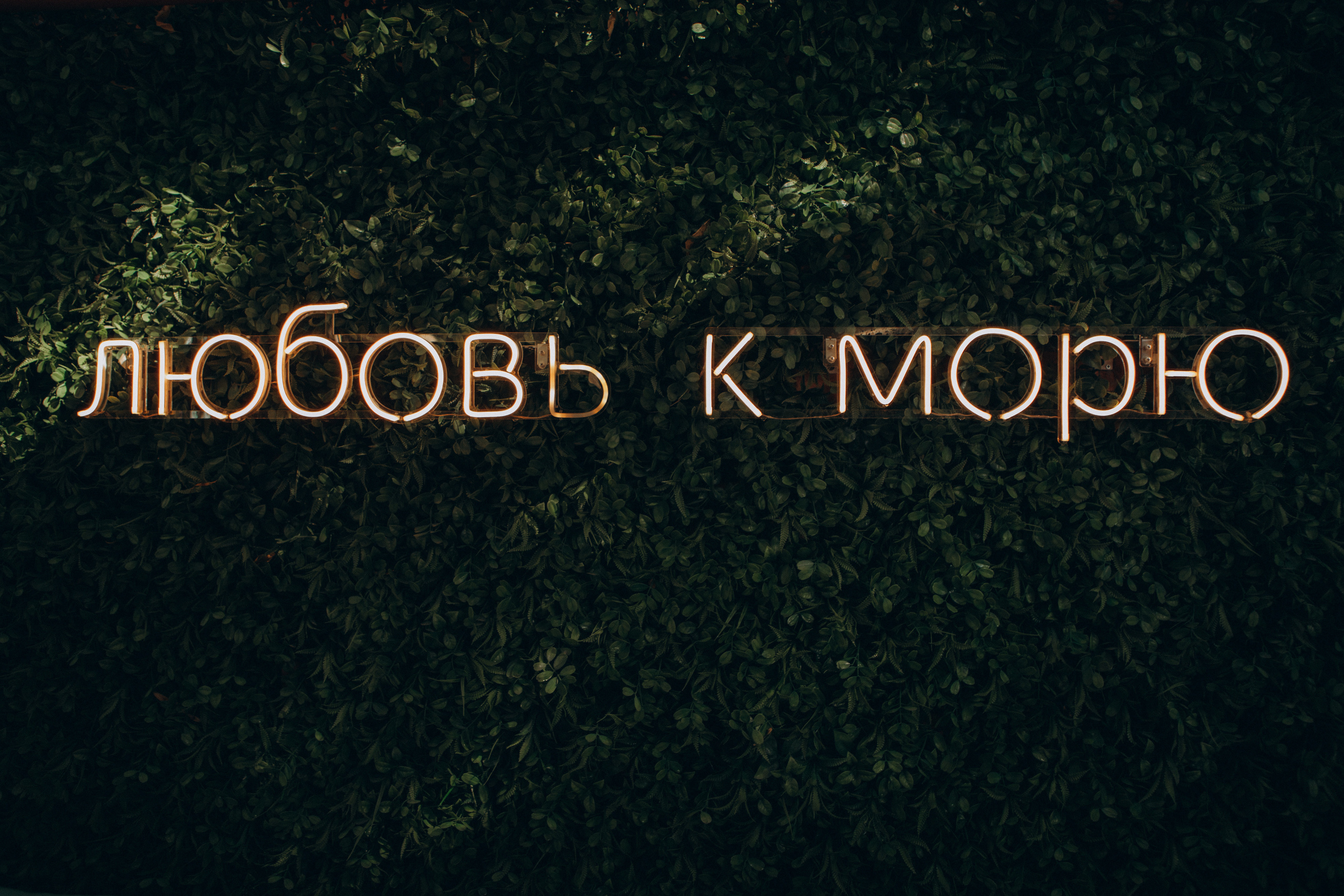 Ксения&Максим. Семейный фотограф и фотограф на роды в Ростове-на-Дону Мухина Виктория