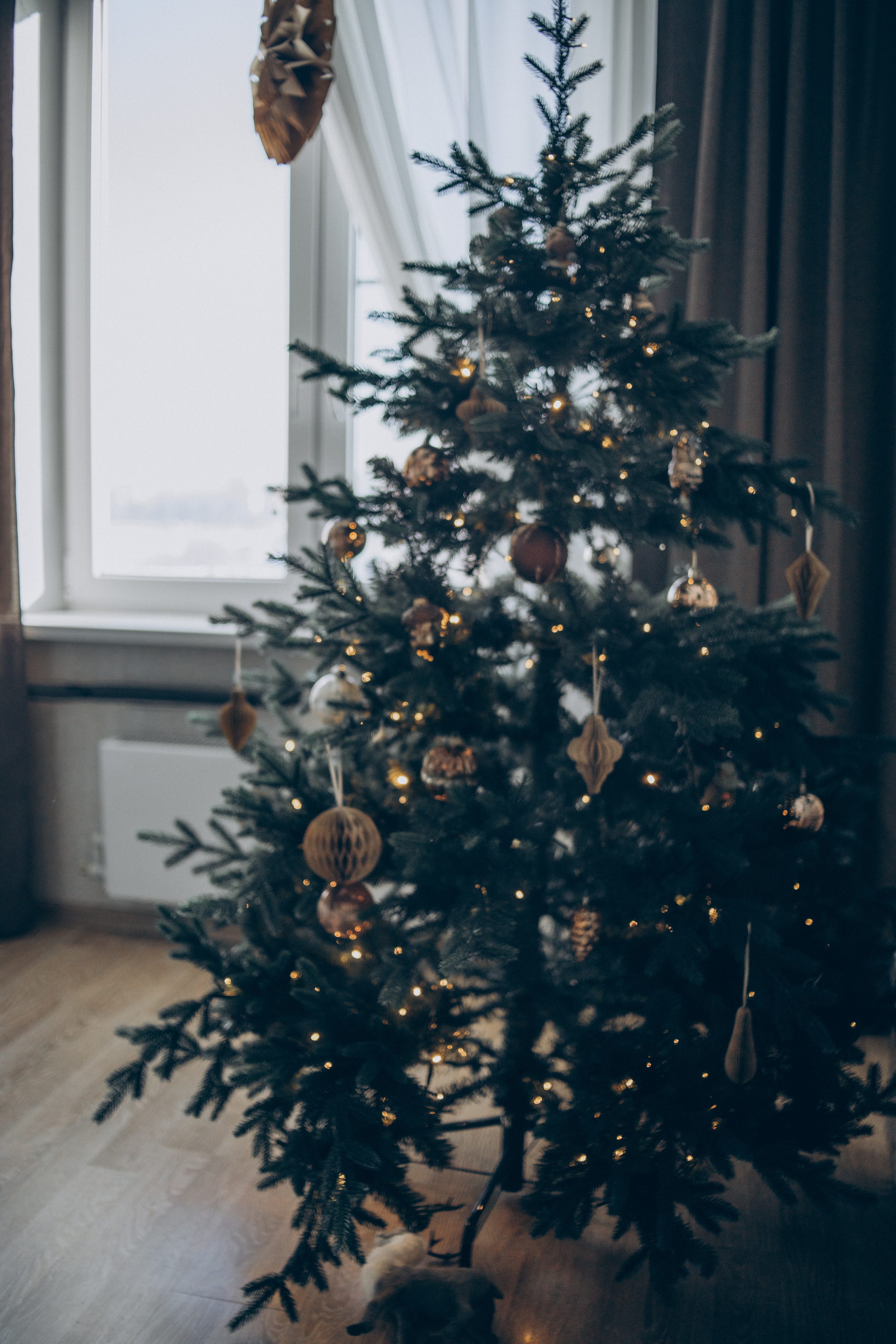 Наташа, Степа и Даня. Семейный фотограф и фотограф на роды в Ростове-на-Дону Мухина Виктория