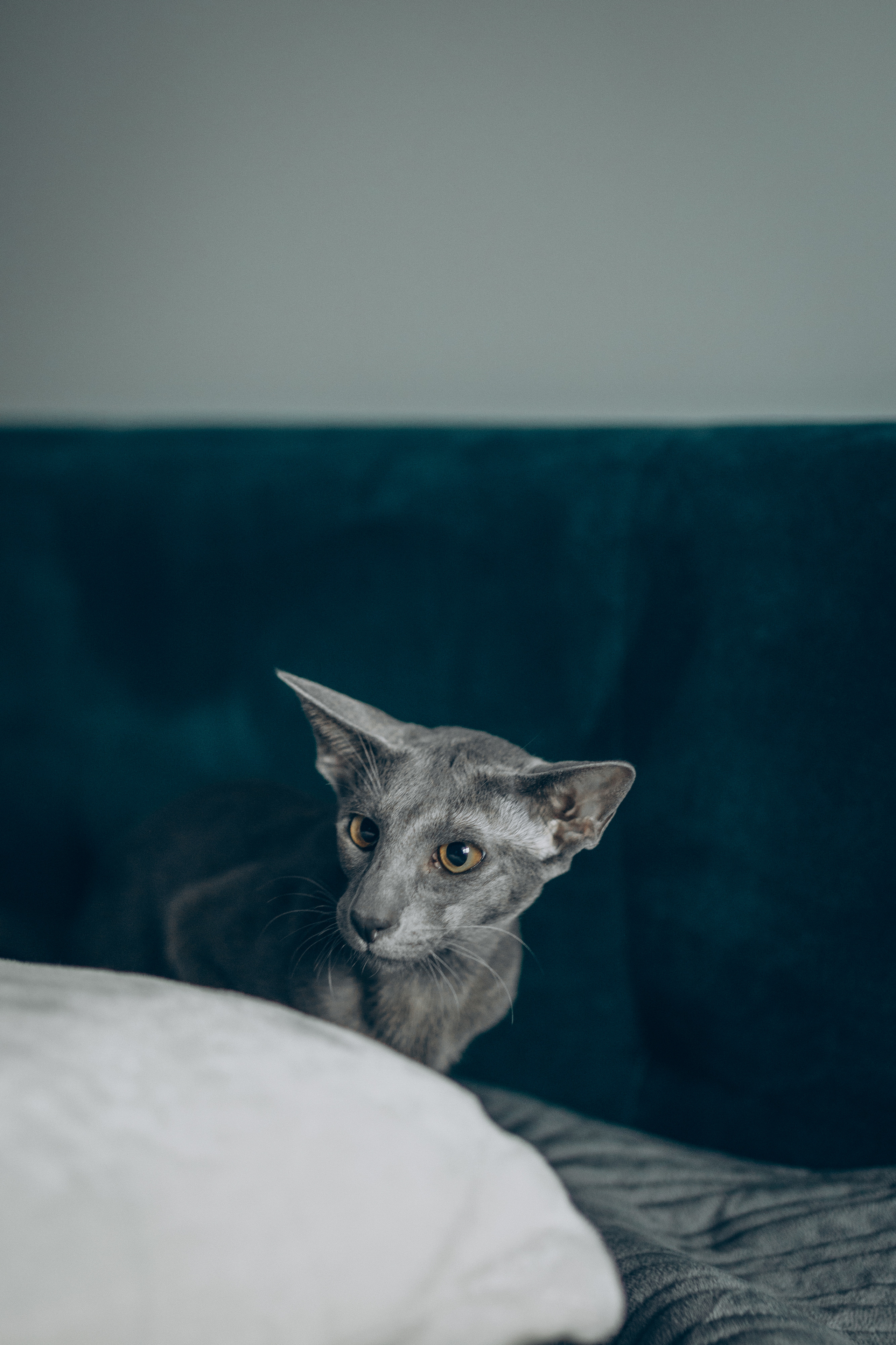 Крошка Амелия. Семейный фотограф и фотограф на роды в Ростове-на-Дону Мухина Виктория