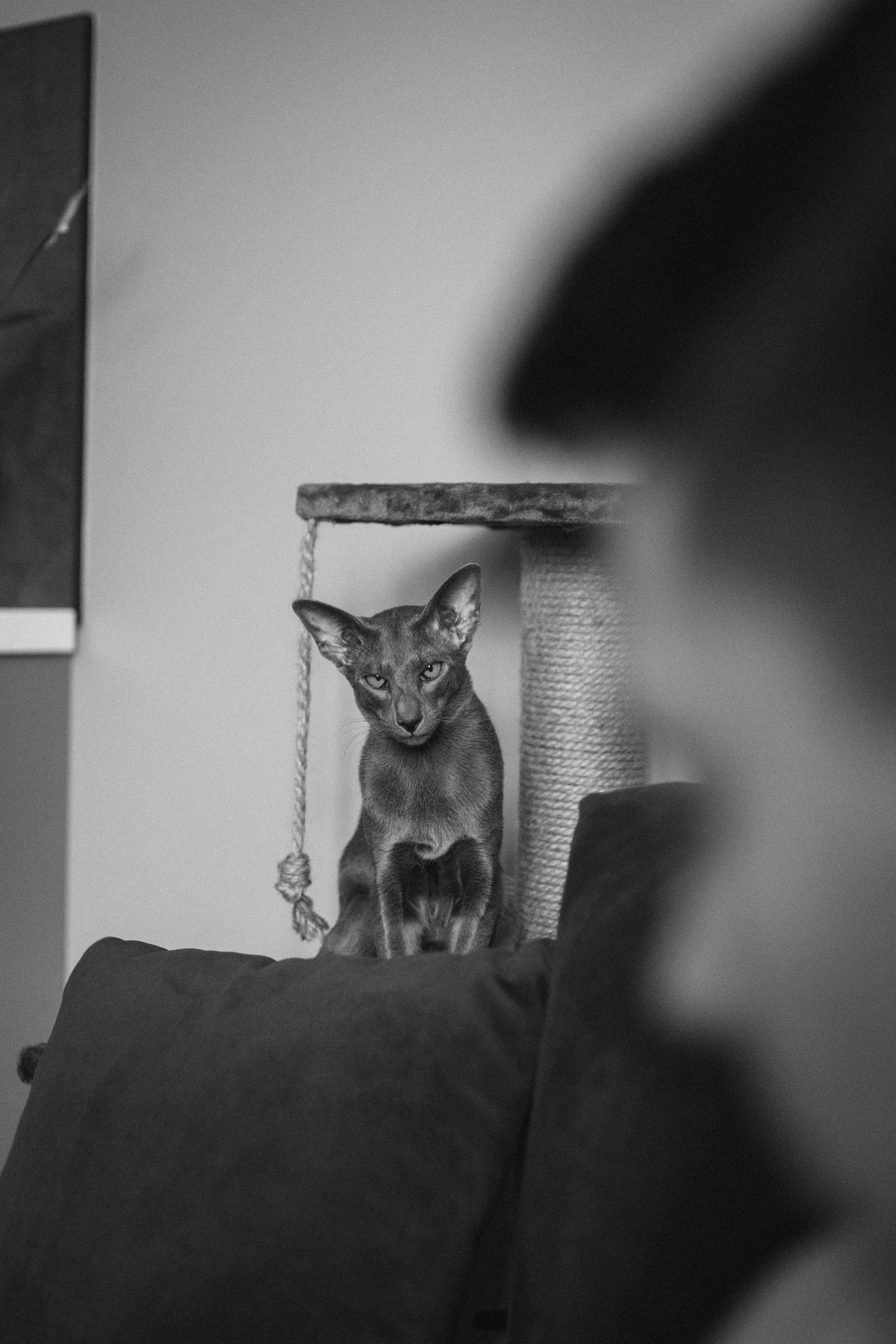 Крошка Амелия. Семейный фотограф и фотограф на роды в Ростове-на-Дону Мухина Виктория