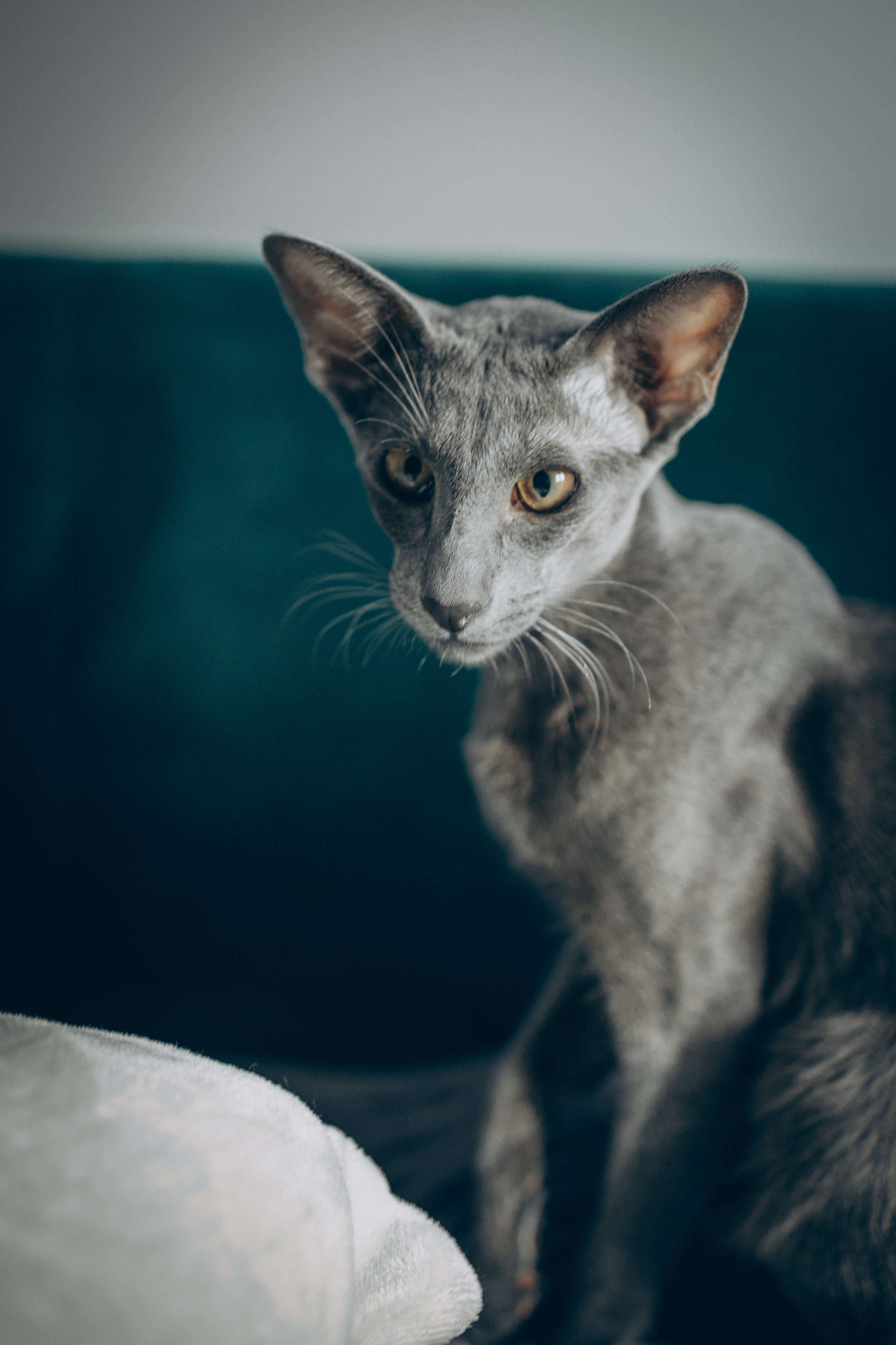 Крошка Амелия. Семейный фотограф и фотограф на роды в Ростове-на-Дону Мухина Виктория