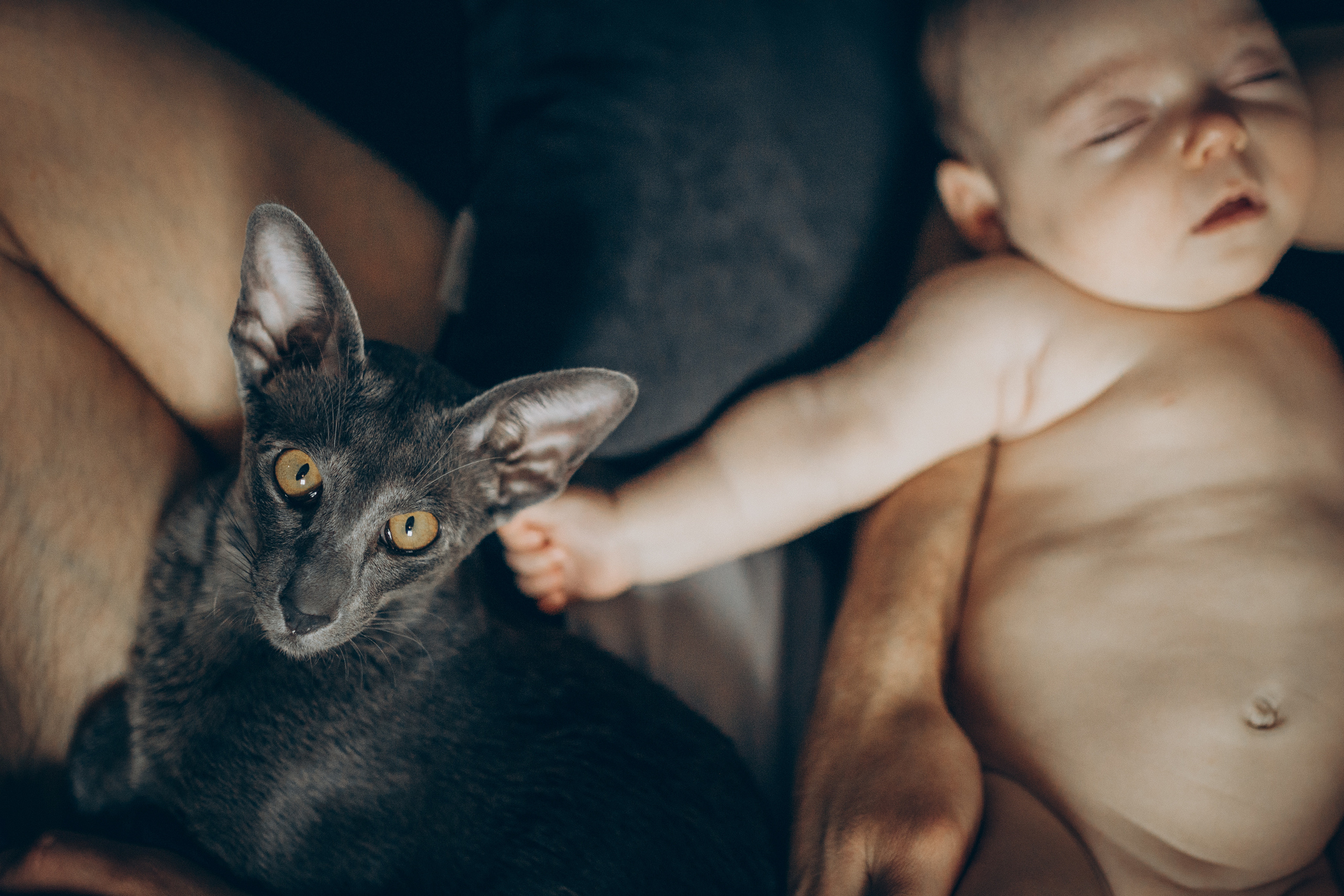 Крошка Амелия. Семейный фотограф и фотограф на роды в Ростове-на-Дону Мухина Виктория