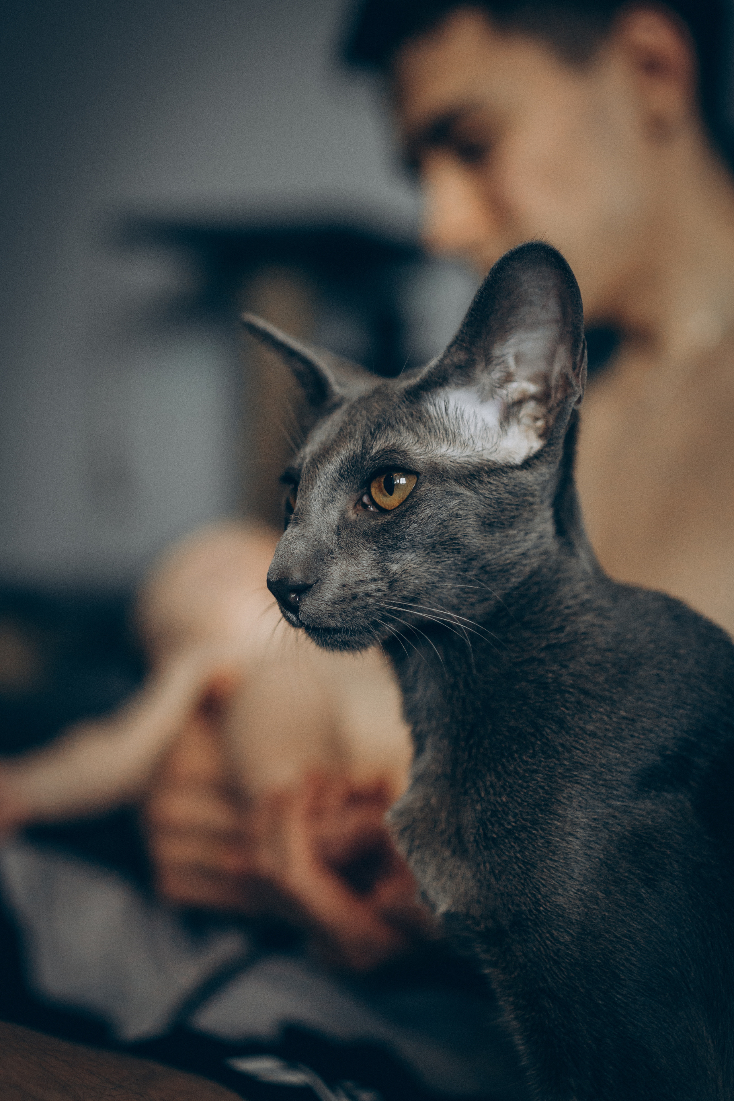 Крошка Амелия. Семейный фотограф и фотограф на роды в Ростове-на-Дону Мухина Виктория