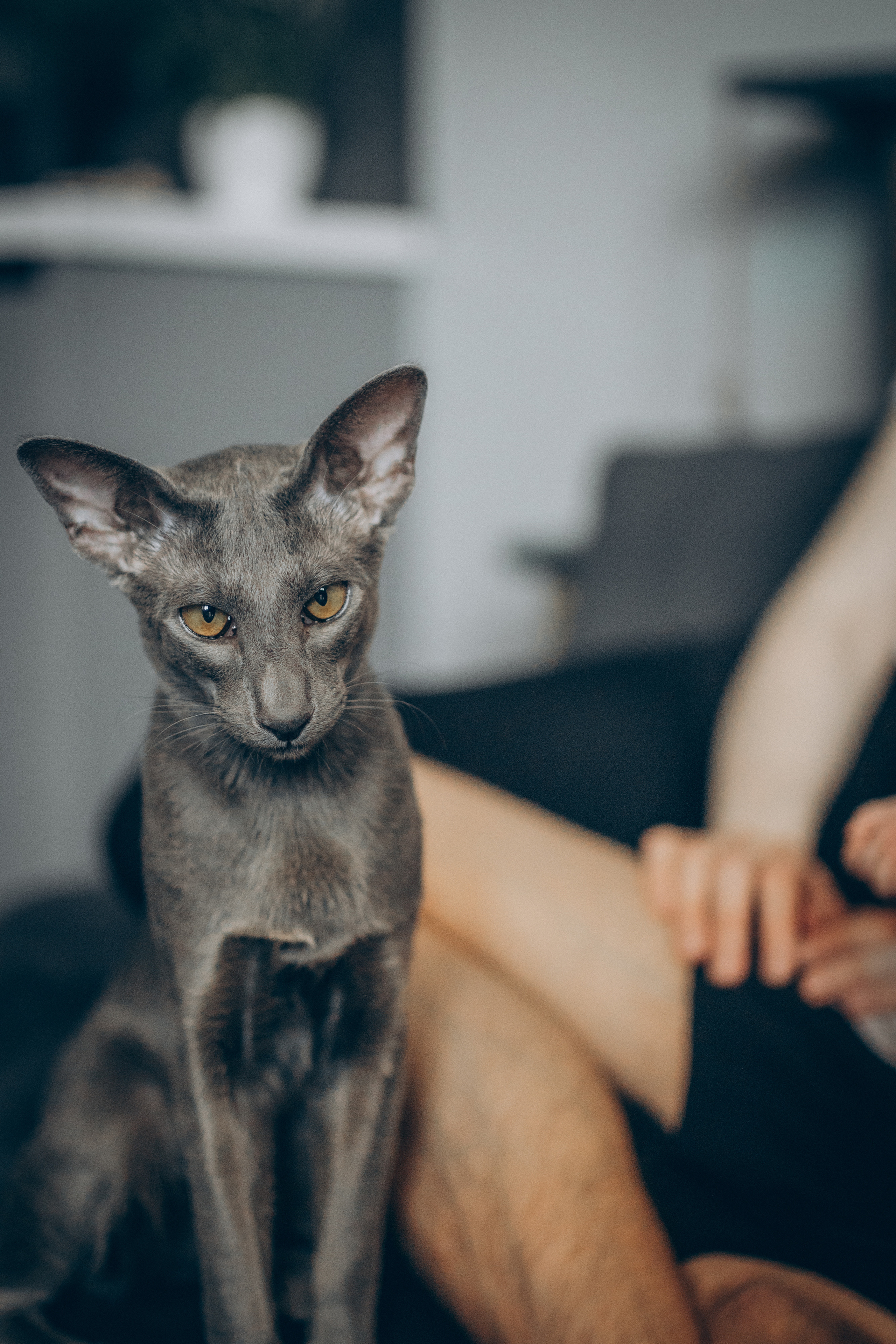 Крошка Амелия. Семейный фотограф и фотограф на роды в Ростове-на-Дону Мухина Виктория