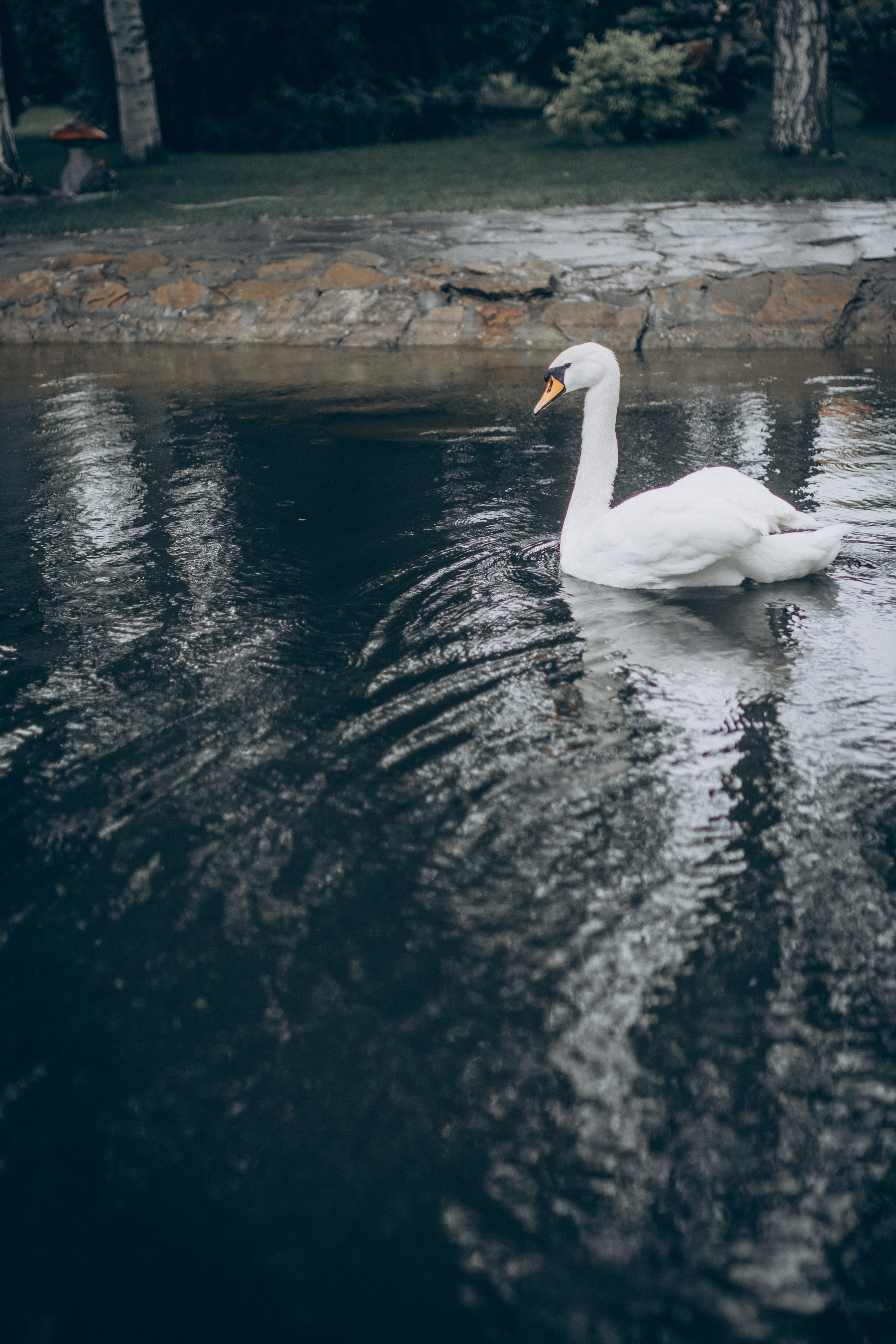 Инна&Игорь. Семейный фотограф и фотограф на роды в Ростове-на-Дону Мухина Виктория
