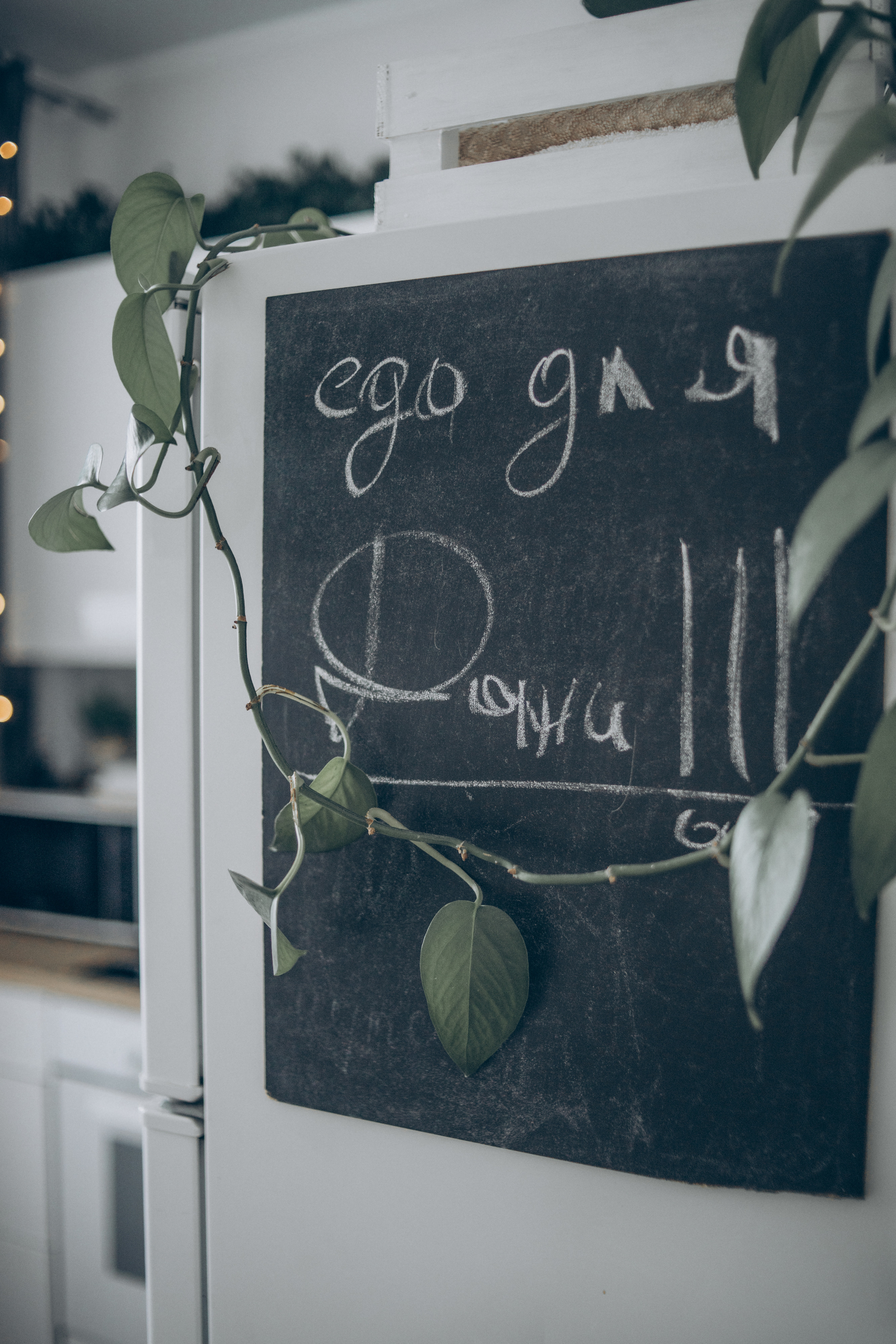 Наташа, Степа и Даня. Семейный фотограф и фотограф на роды в Ростове-на-Дону Мухина Виктория