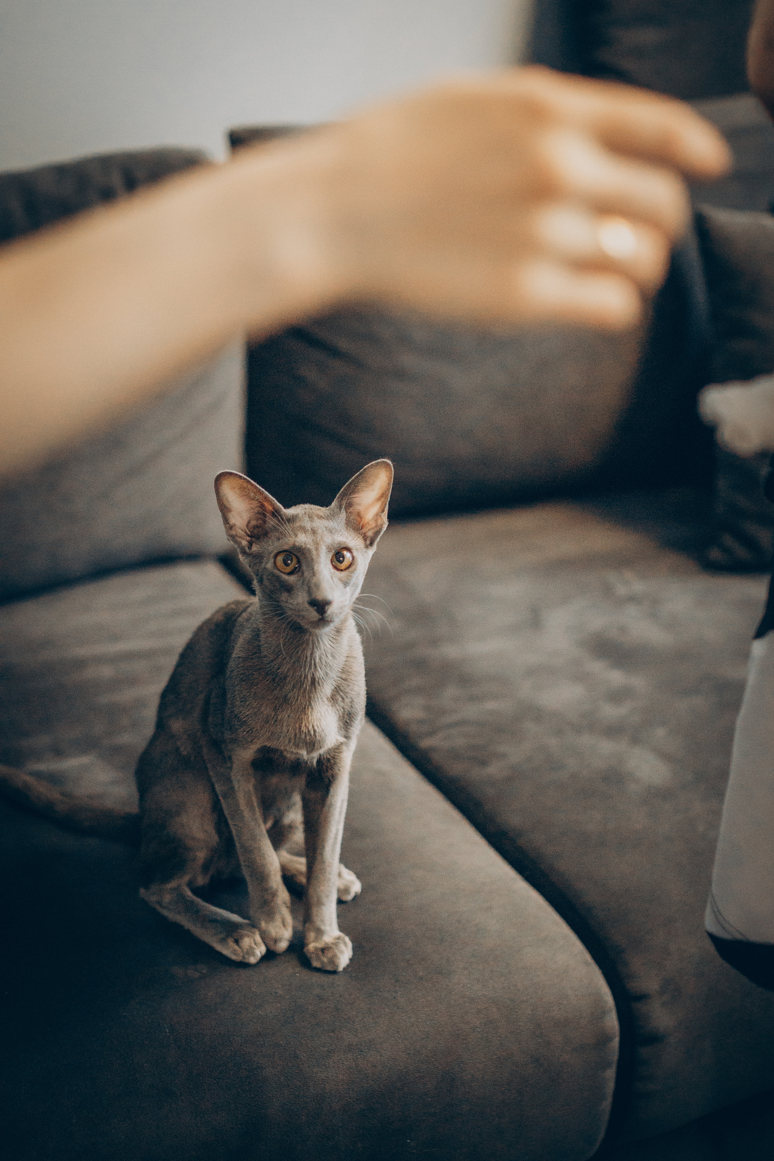 Крошка Амелия. Семейный фотограф и фотограф на роды в Ростове-на-Дону Мухина Виктория