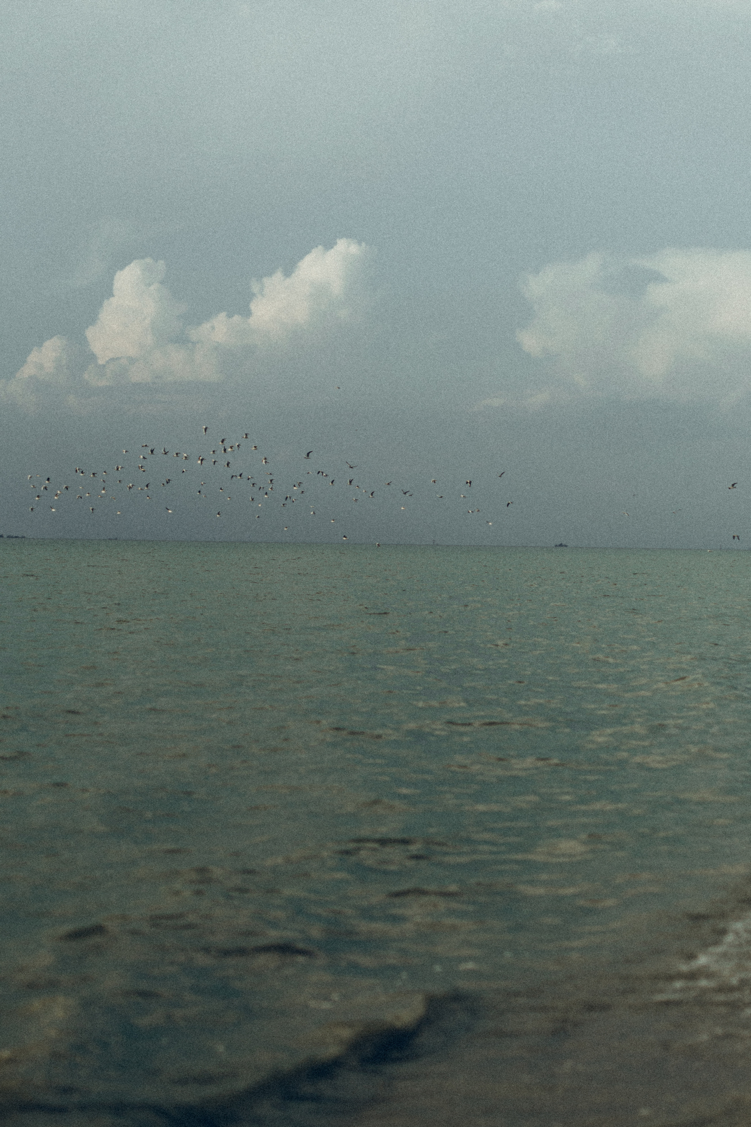 Рита&Коля. Семейный фотограф и фотограф на роды в Ростове-на-Дону Мухина Виктория