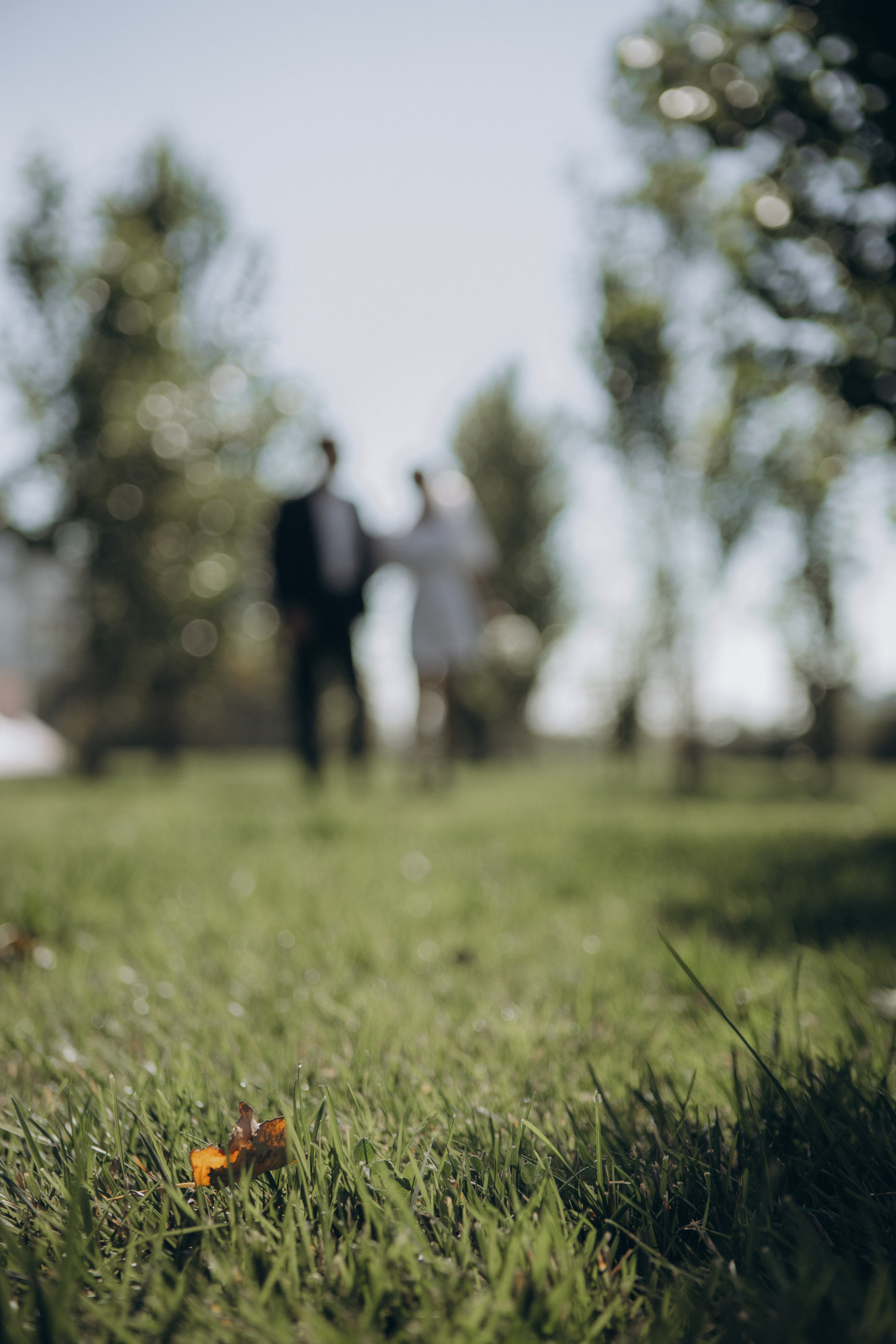 Ксения&Максим. Семейный фотограф и фотограф на роды в Ростове-на-Дону Мухина Виктория