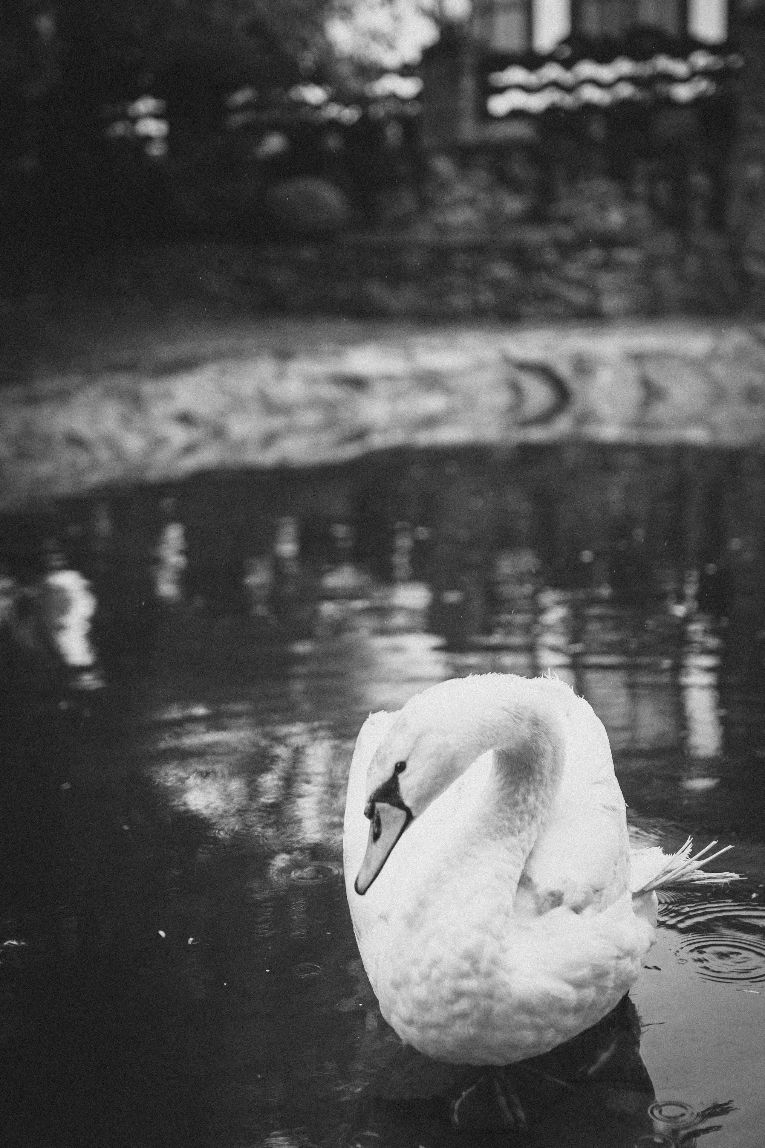 Инна&Игорь. Семейный фотограф и фотограф на роды в Ростове-на-Дону Мухина Виктория