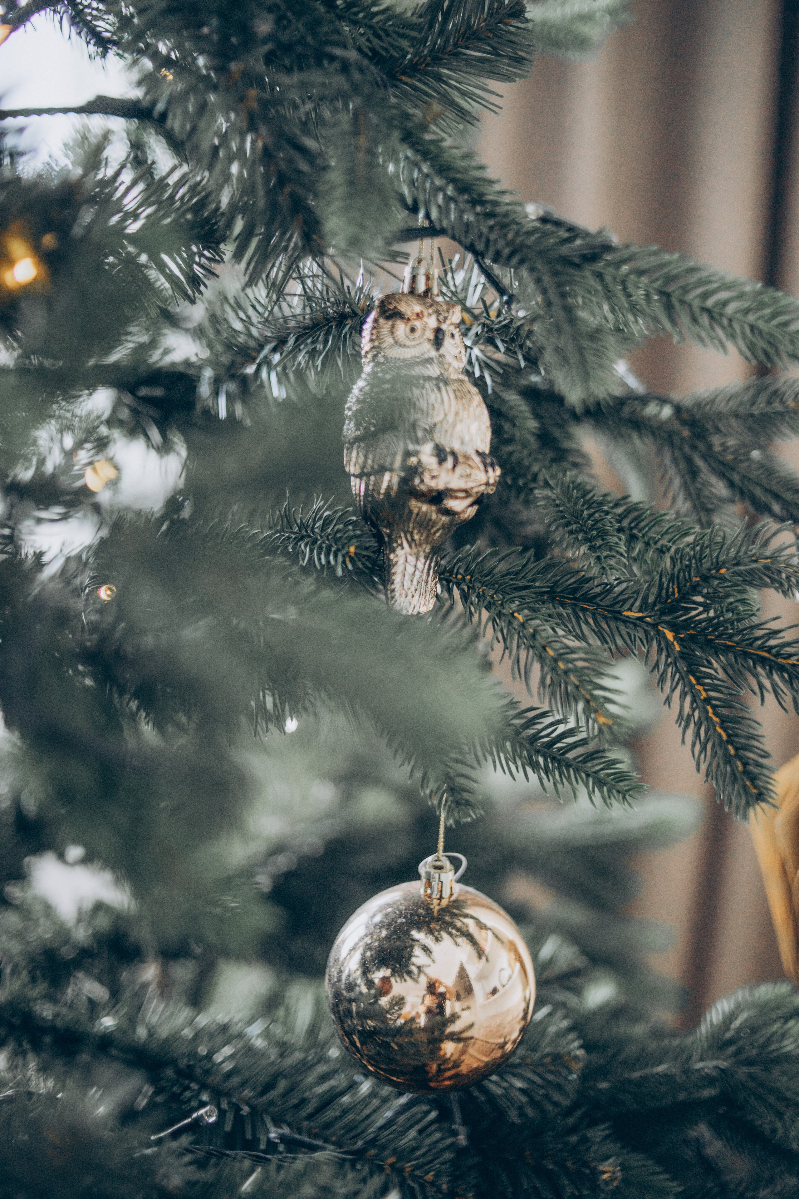 Наташа, Степа и Даня. Семейный фотограф и фотограф на роды в Ростове-на-Дону Мухина Виктория