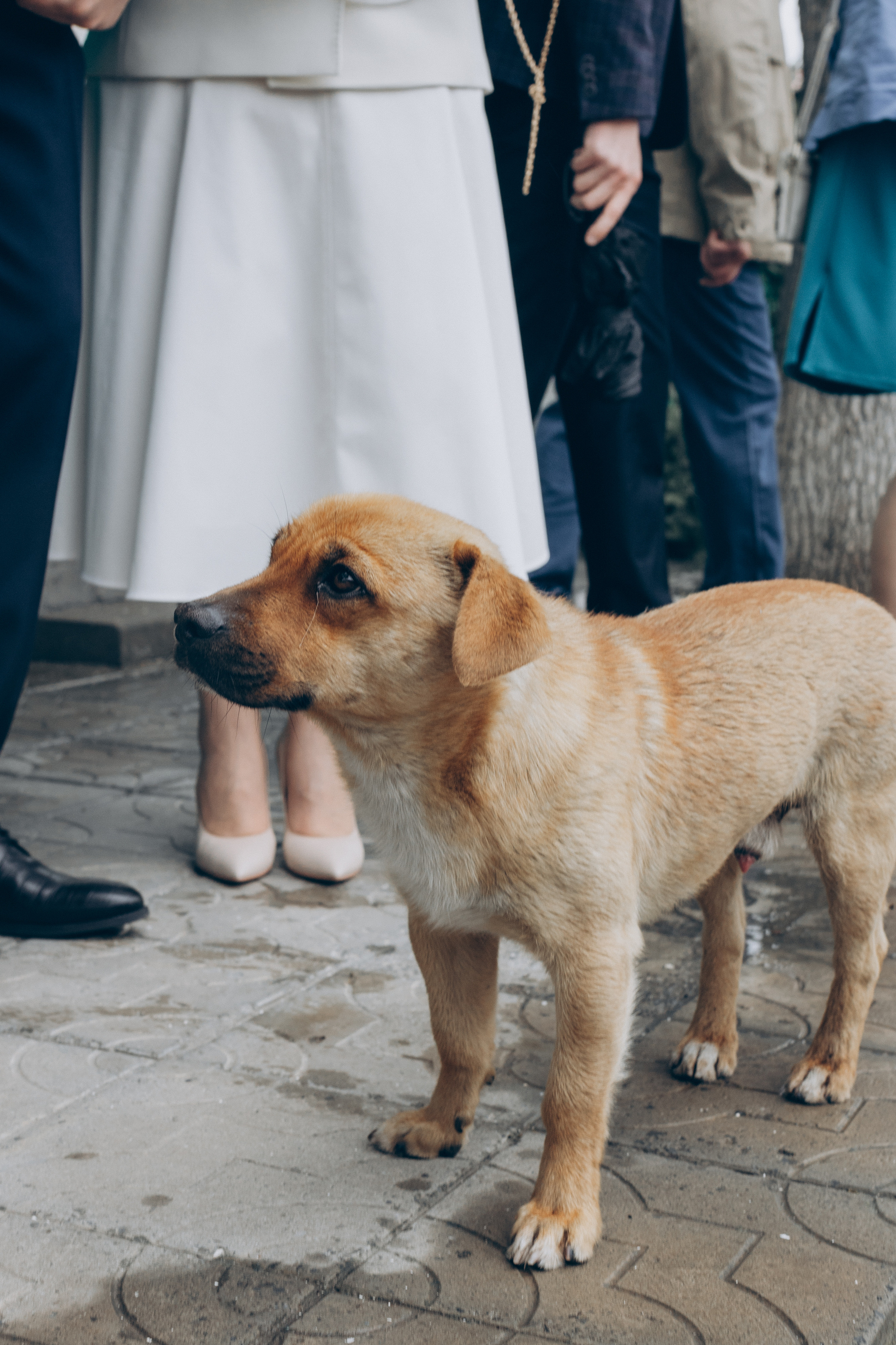 Инна&Игорь. Семейный фотограф и фотограф на роды в Ростове-на-Дону Мухина Виктория