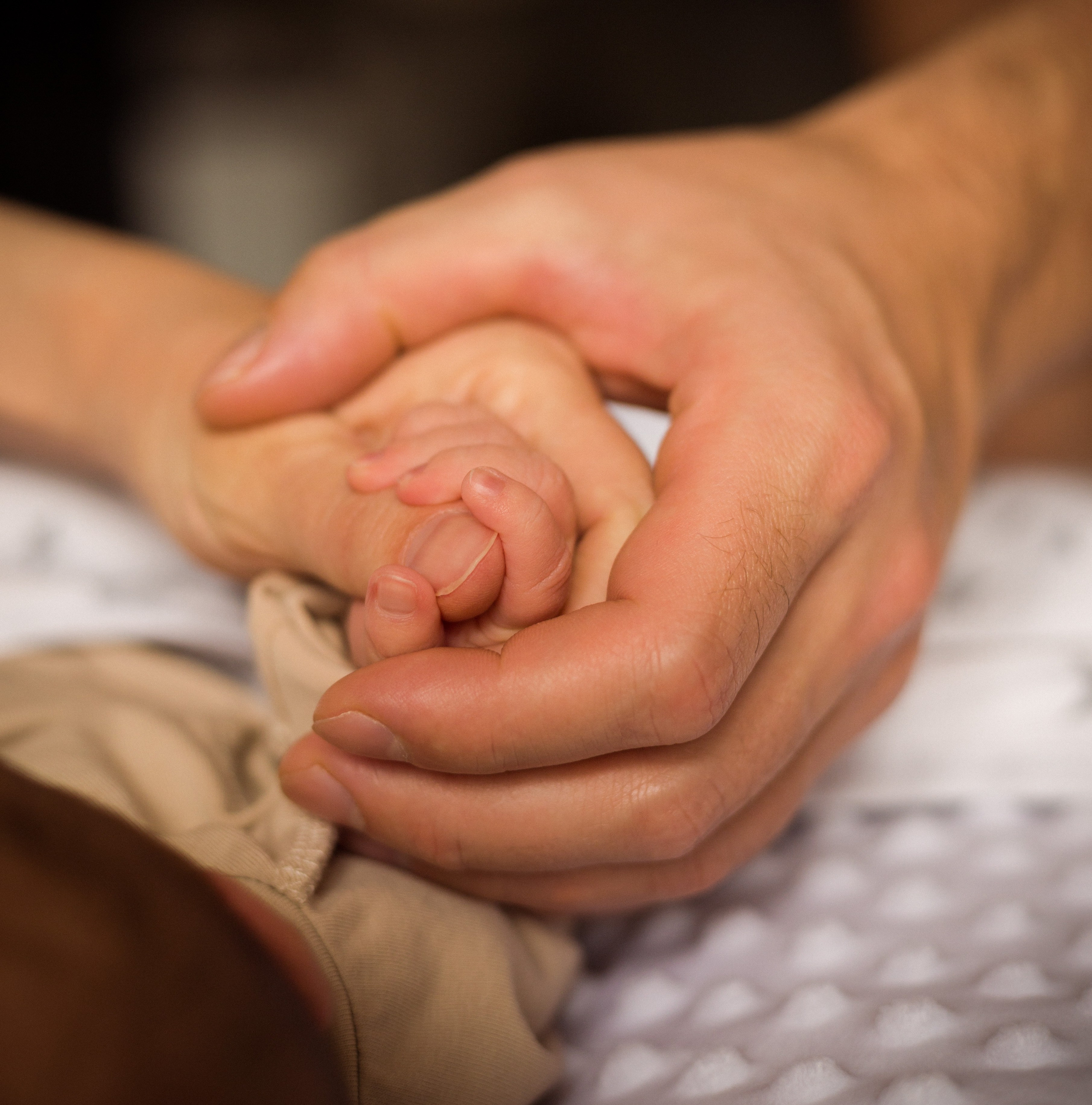 Настя, Саша и Ваня. Семейный фотограф в Москве и МО Варвара Шаранова