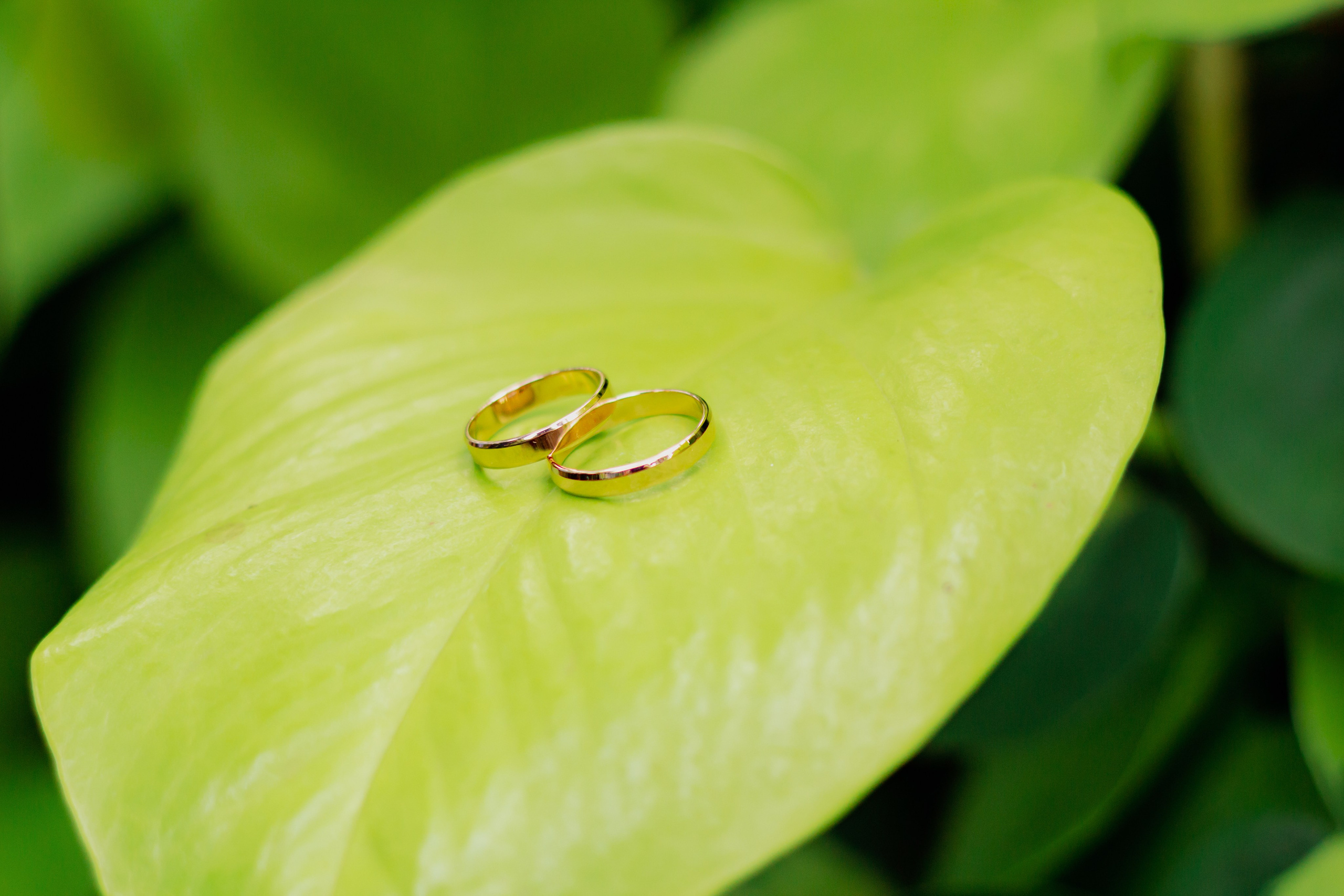 Максим и Александра. Свадебная фотосессия. Фотограф в Екатеринбурге Пойгина Елена