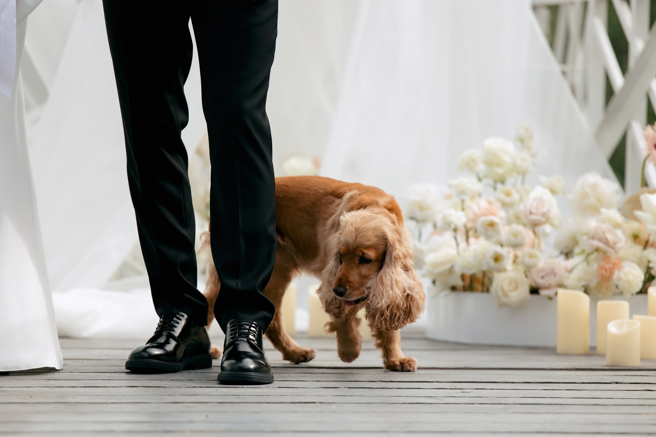 Свадебная фотосессия Настя, Макс и Карюша. Свадебный фотограф Москва