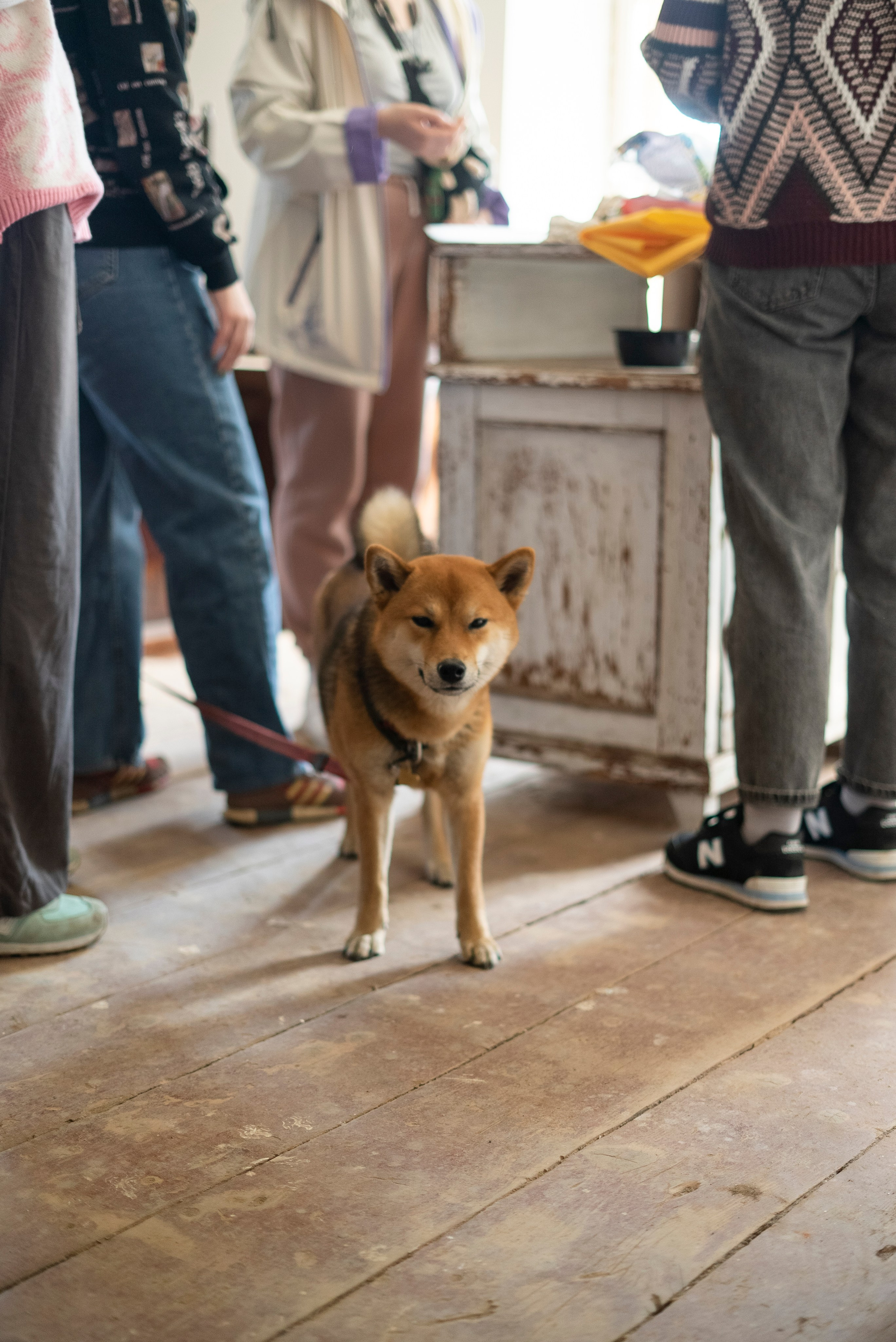 Репортажная съемка Москва. Персональный и репортажный фотограф в Москве Соня Пичугина