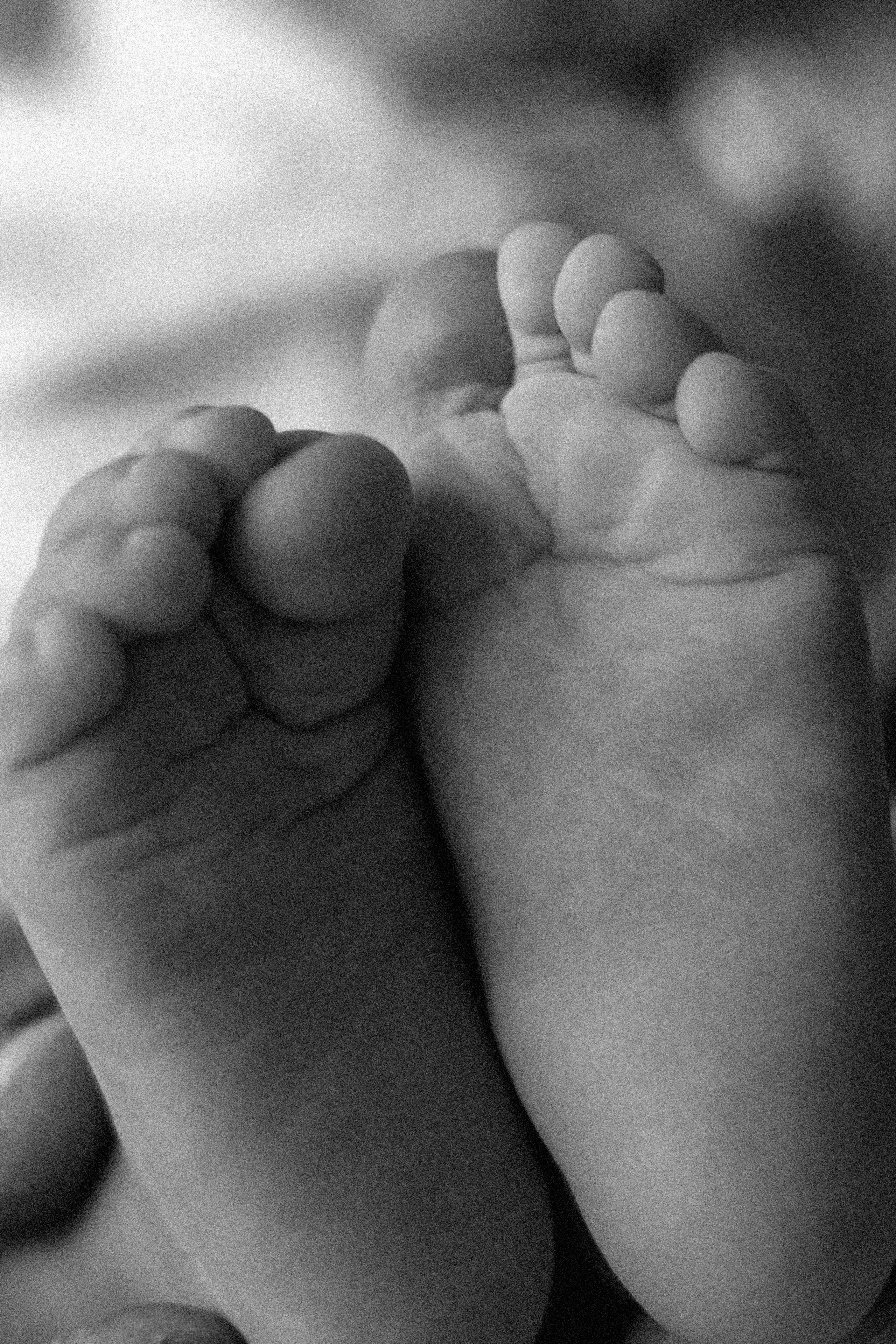 Первый Новый год Димы. Свадебный и портретный фотограф Соломко Диана