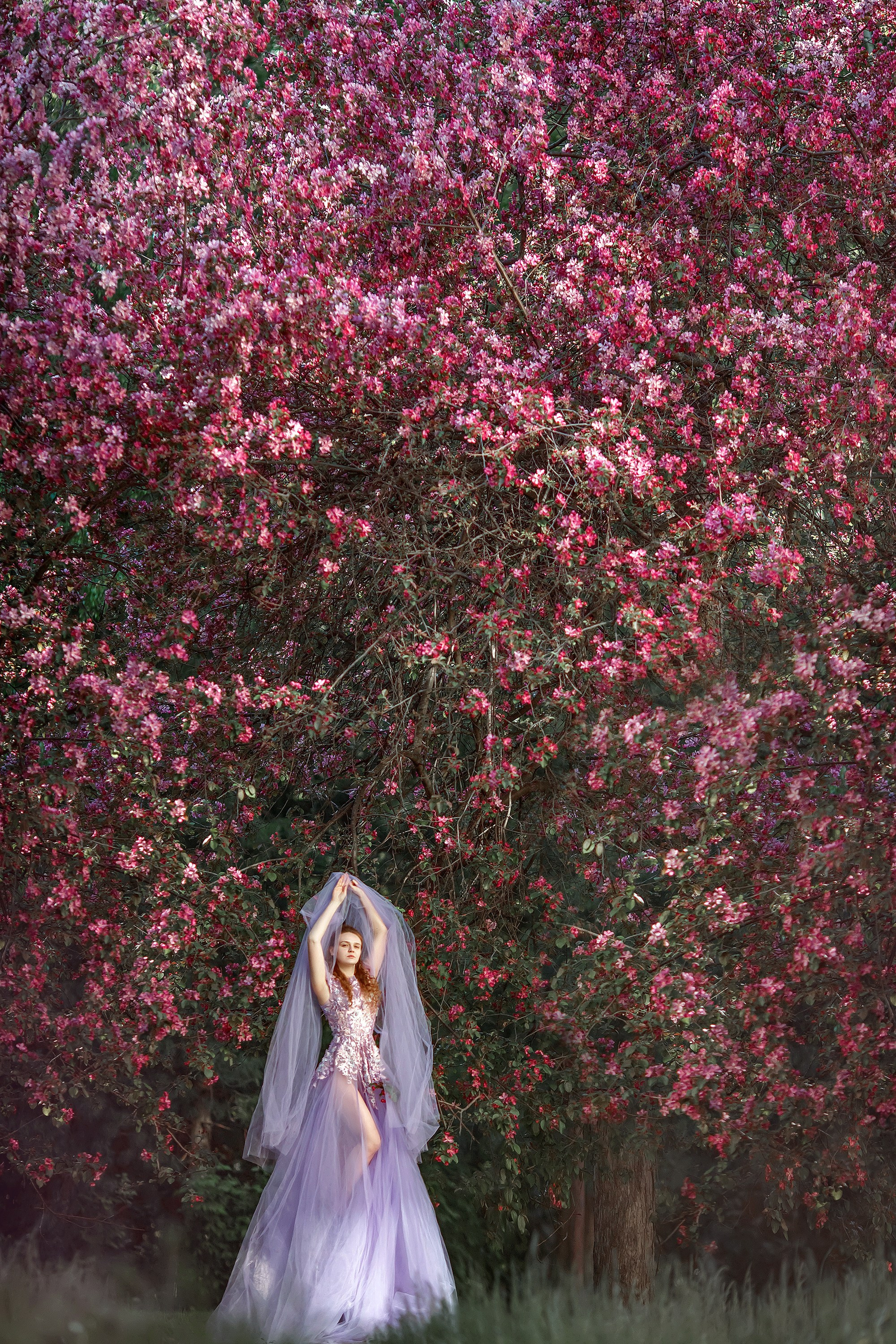 Цветение. Сказочный фотограф фотопроекты фототуры в Новосибирске и на Алтае