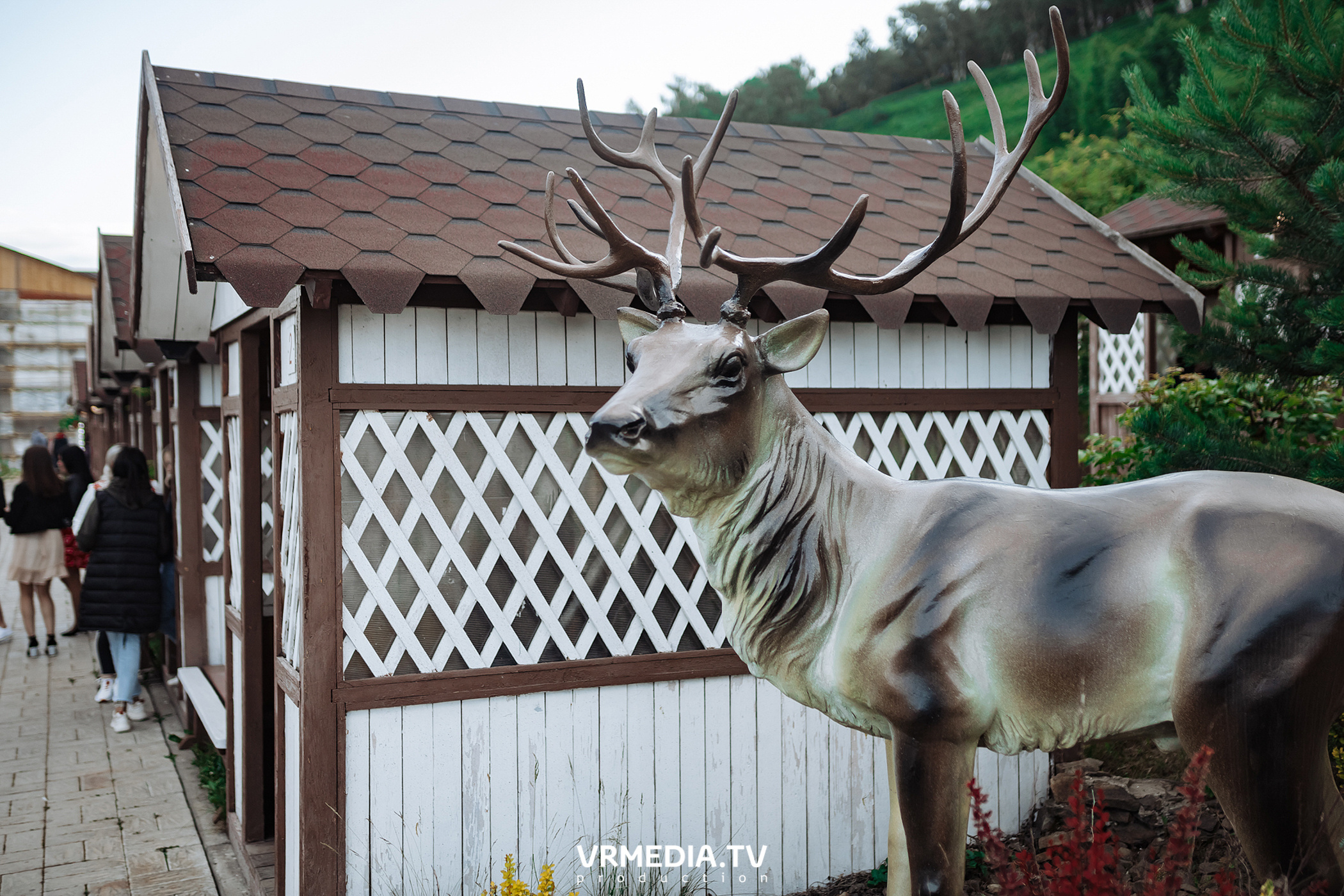 Вечер в «Paradise»