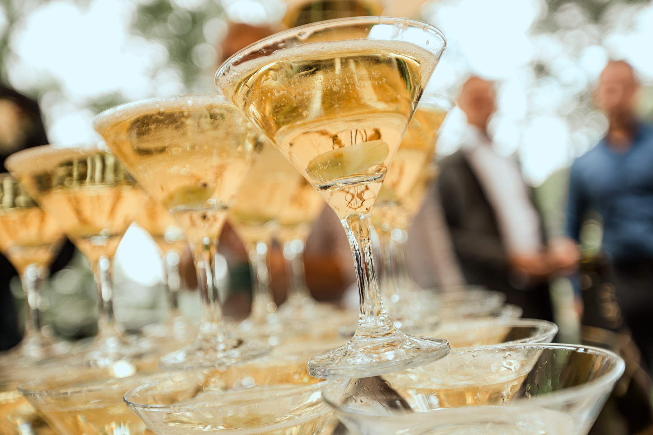 Александр & Ольга