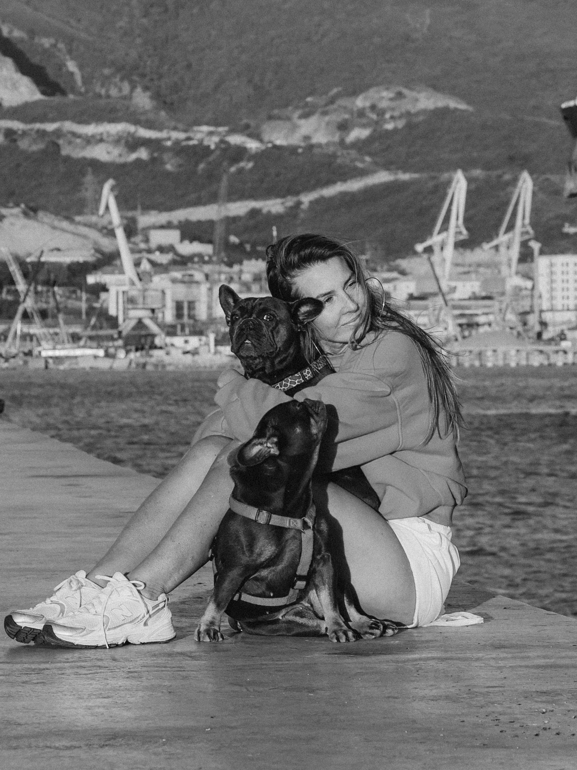 Белла, Луна и Нелли. Фотограф-анималист в Москве Кириллова Татьяна