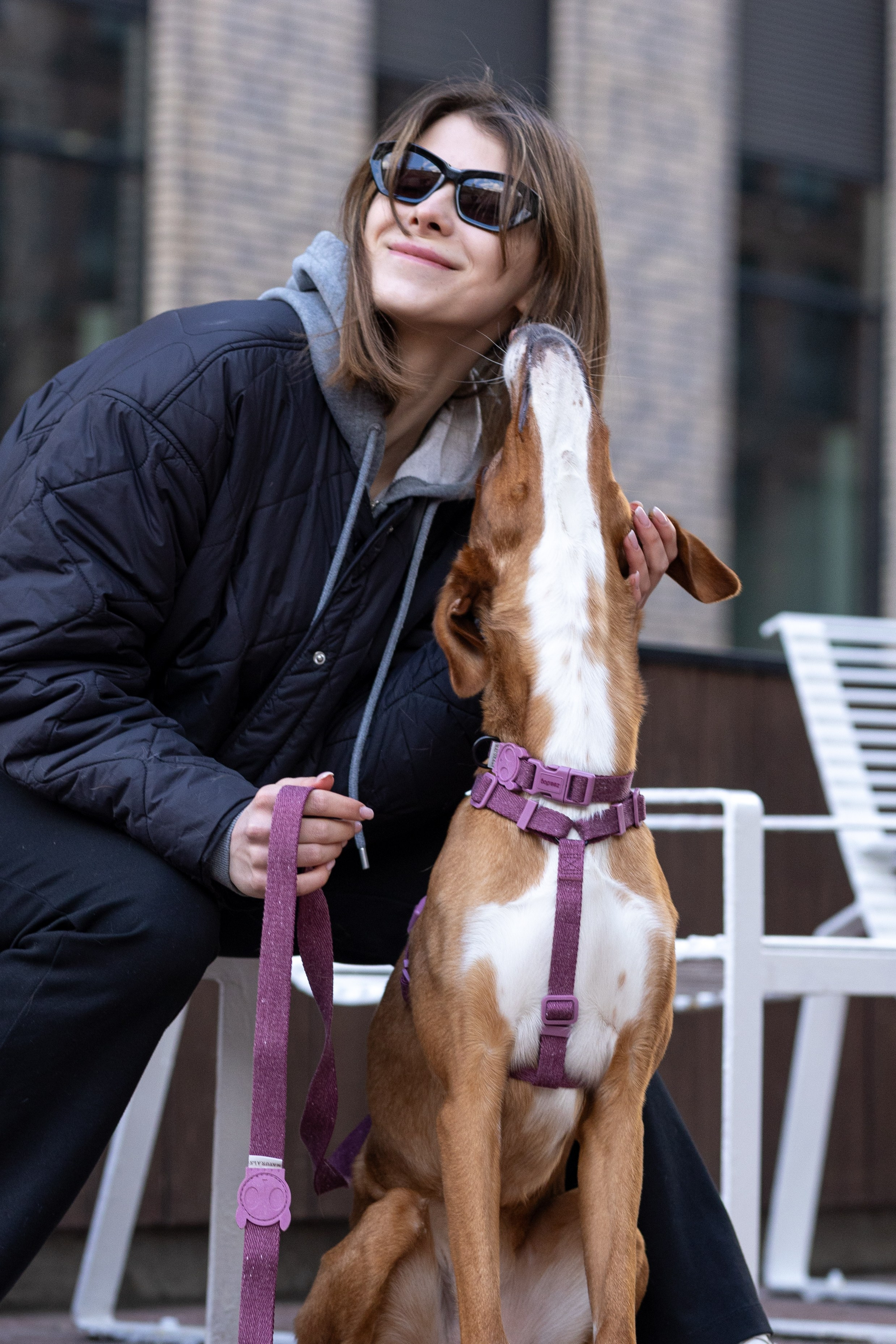 Съемка для бренда ZeeDog. Фотограф-анималист в Москве Кириллова Татьяна