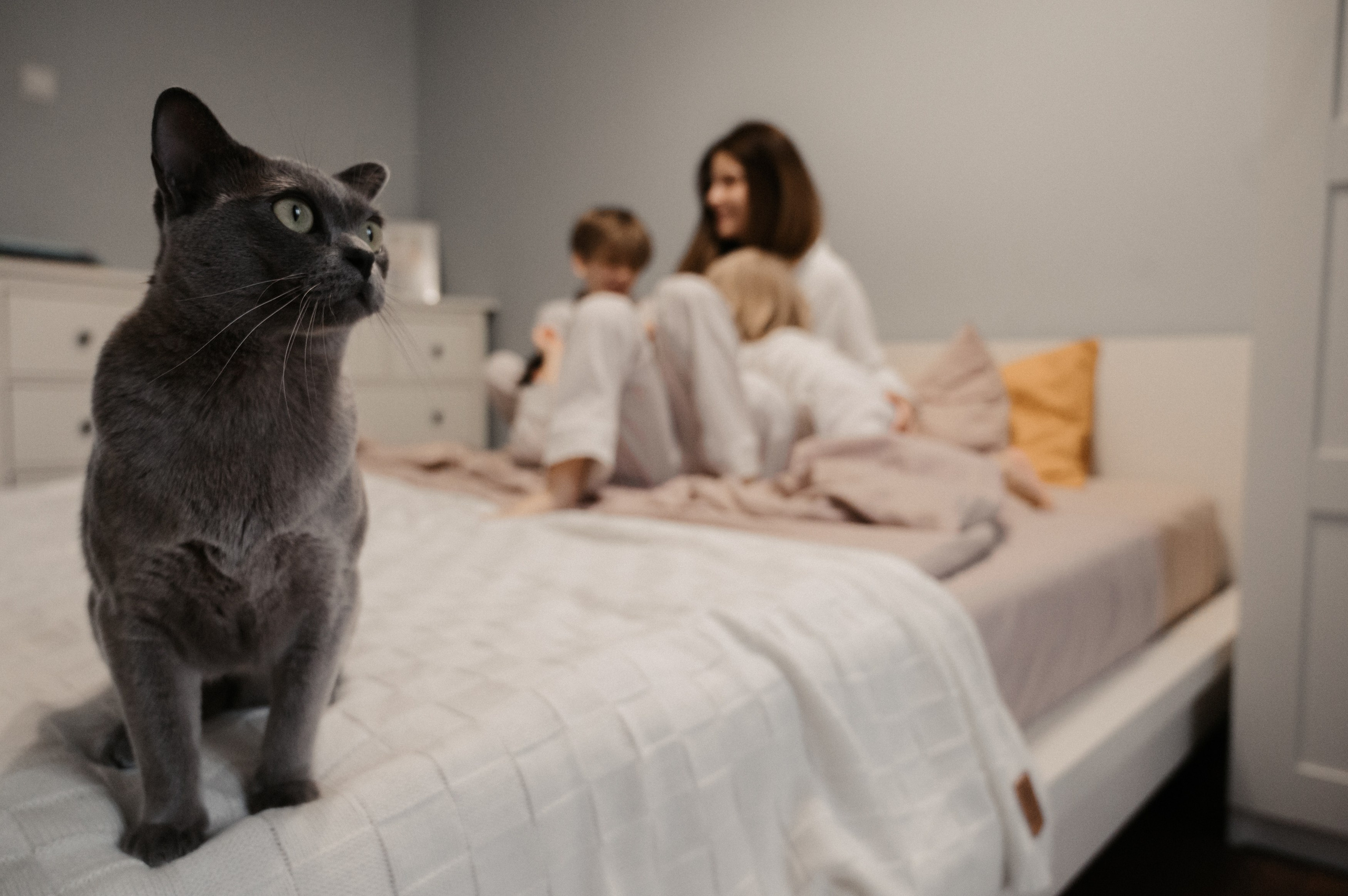 Дома. Фотограф Ким Ангелина