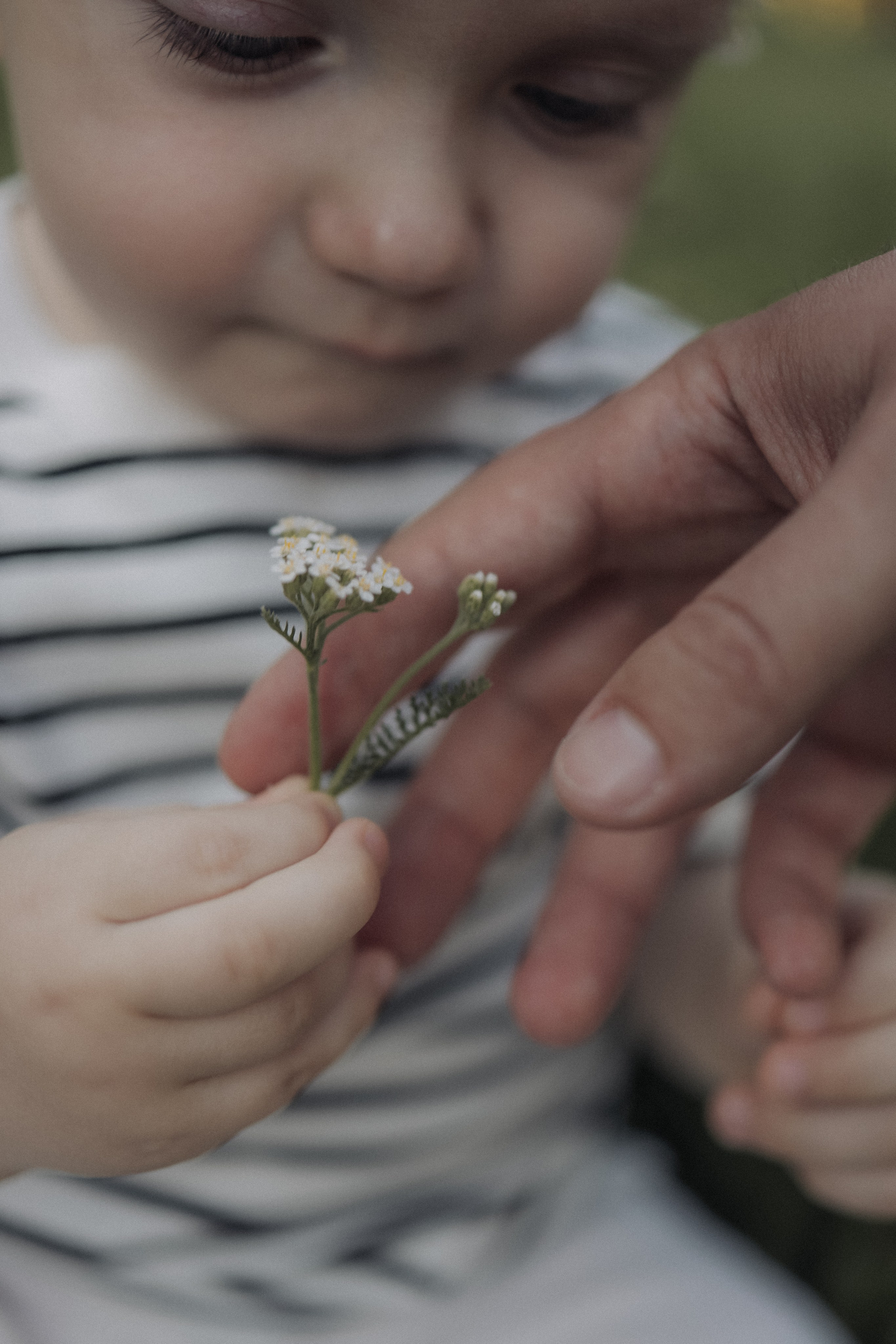 О любви и Прогулках. Марина Мужиченкова. Семейная и детская фотосъёмка в Москве
